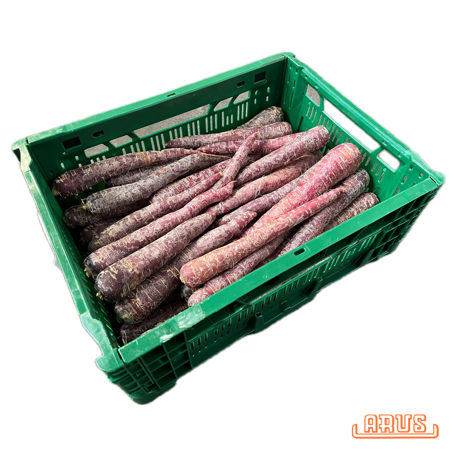 Möhren "lila/violett" 5kg