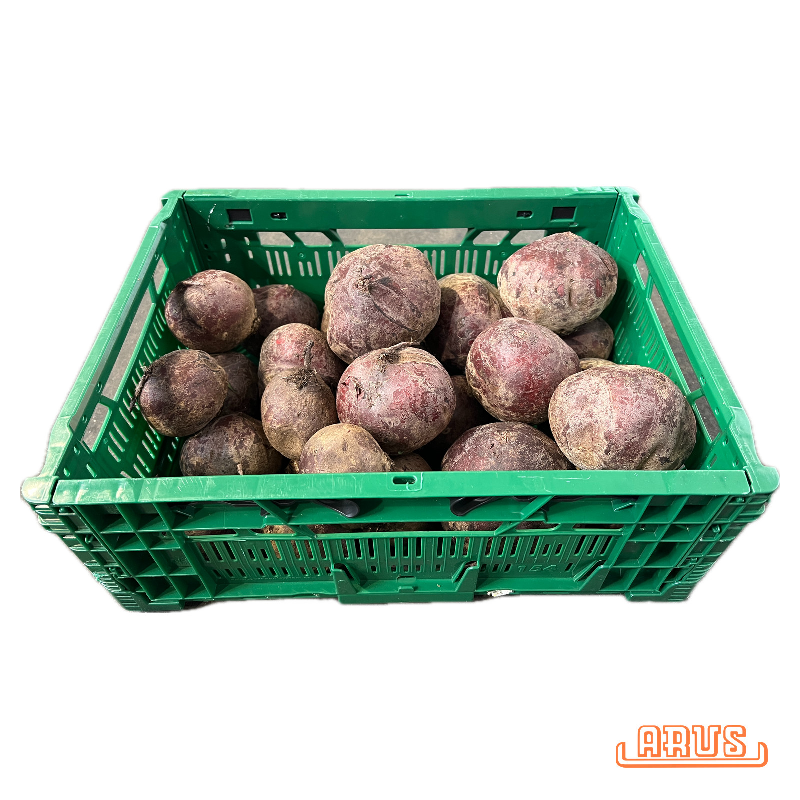 Rote Beete 5kg - POOL -