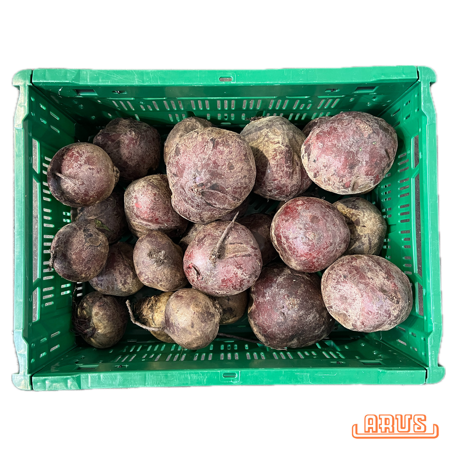Rote Beete 5kg - POOL -
