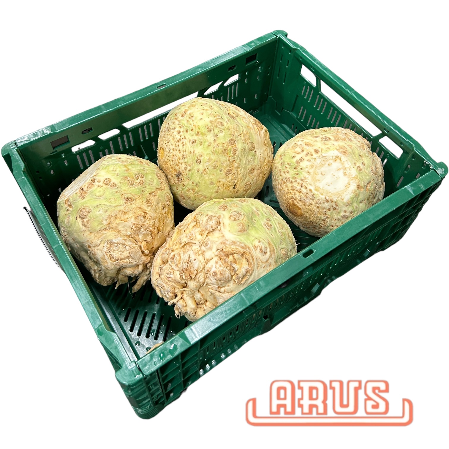 Sellerie "Knolle" 5kg - POOL -