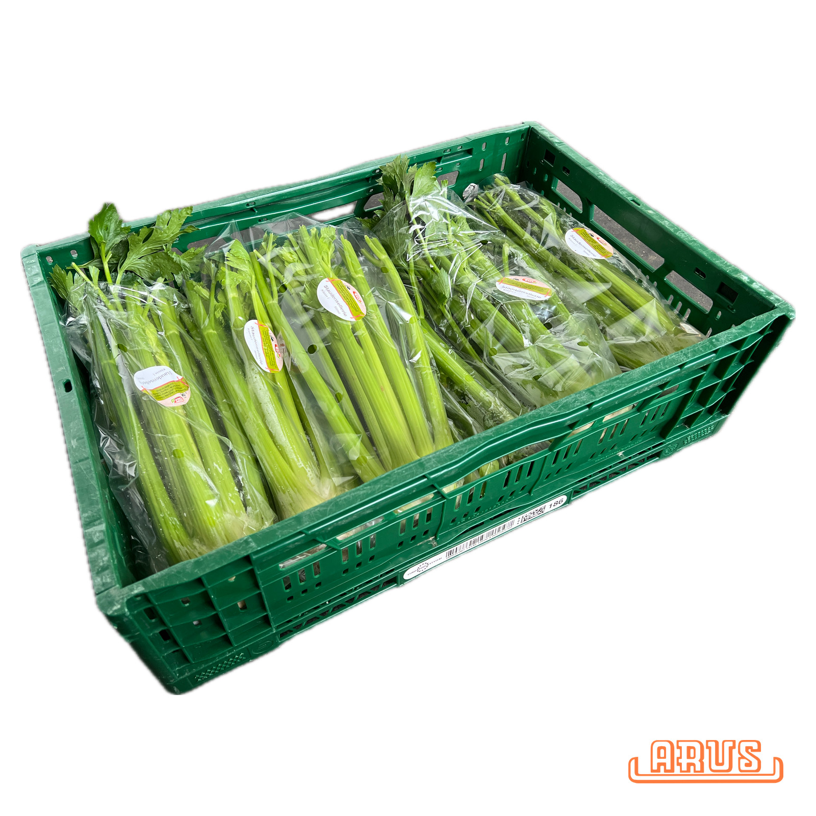 Sellerie "mit Grün" 5er - Bunde -