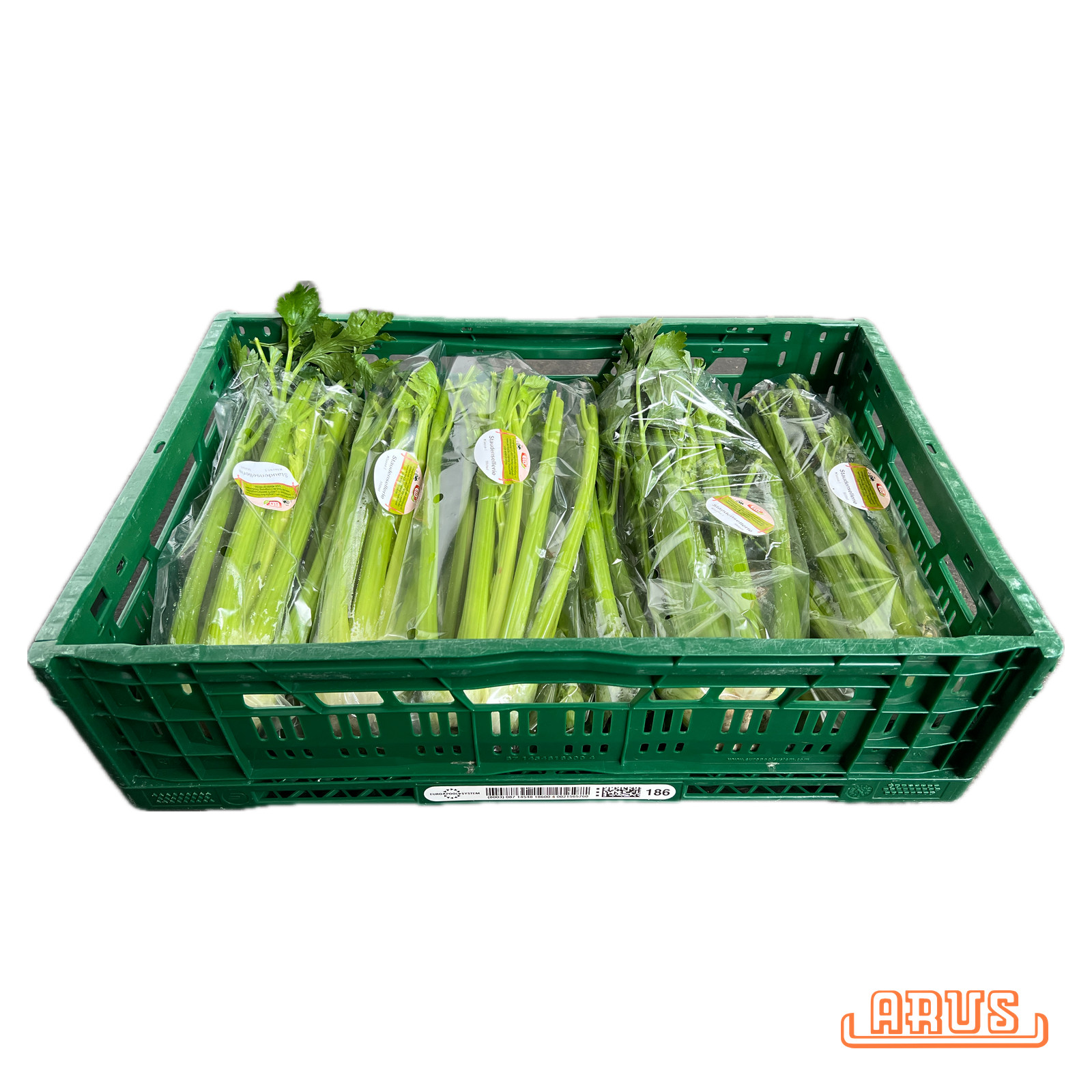 Sellerie "mit Grün" 5er - Bunde -