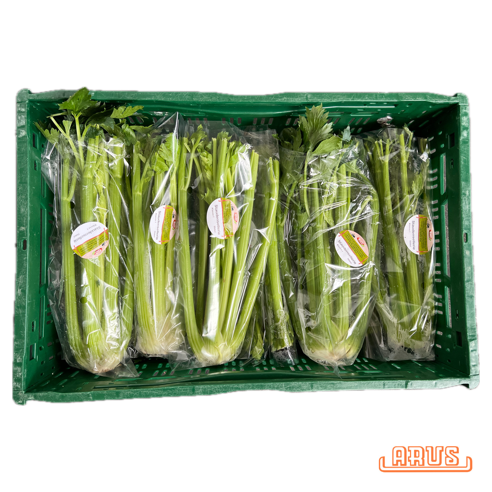 Sellerie "mit Grün" 5er - Bunde -