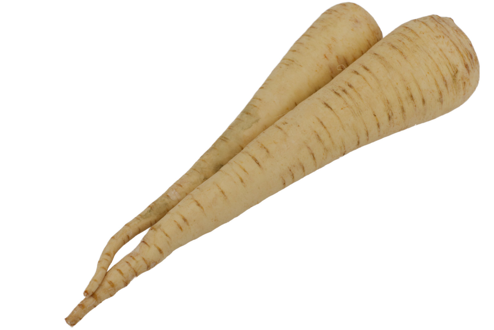 Pastinaken 6kg