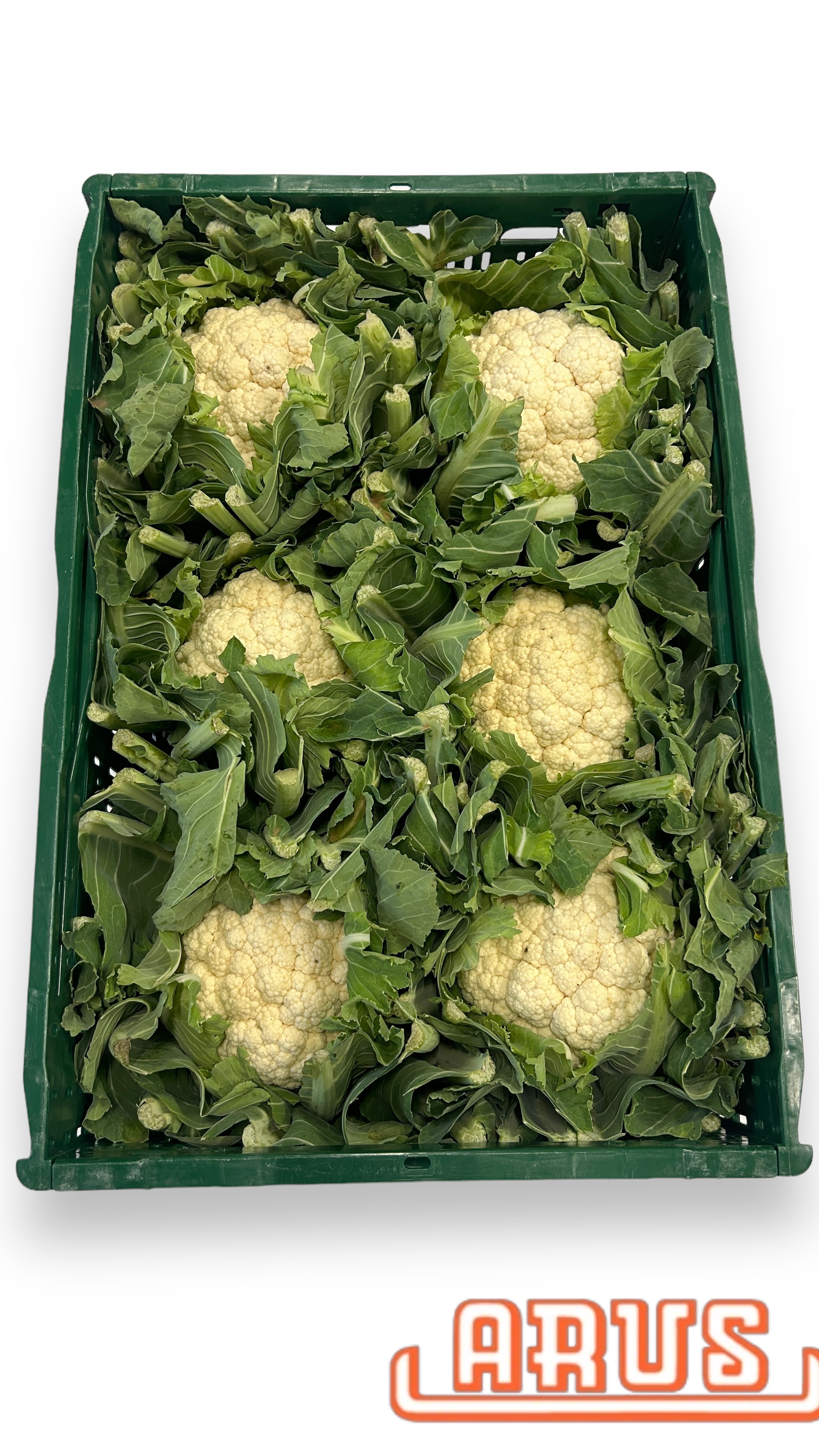 Blumenkohl 6er - dtsch. -