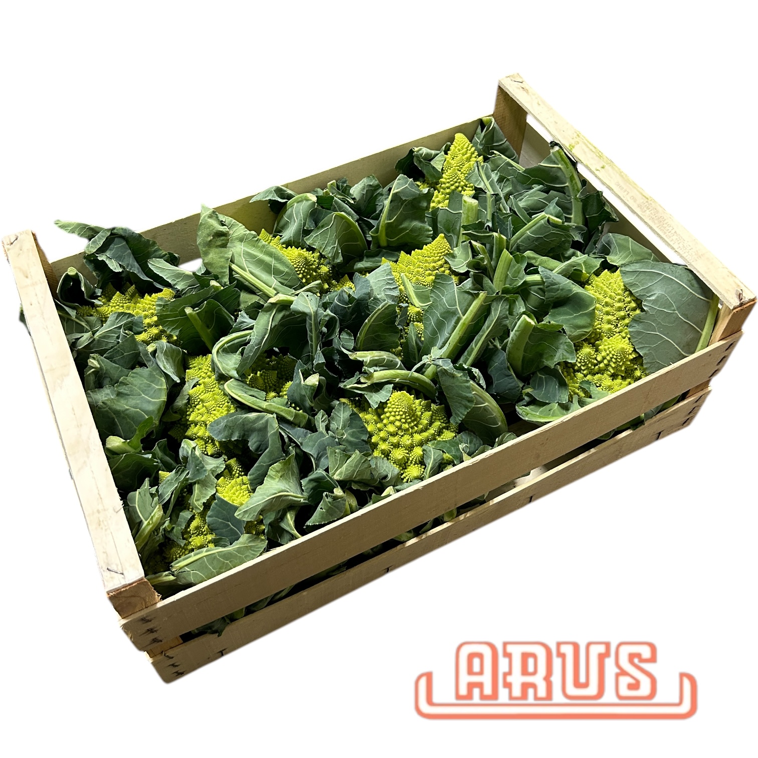 Romanesco 8er -dtsch.-