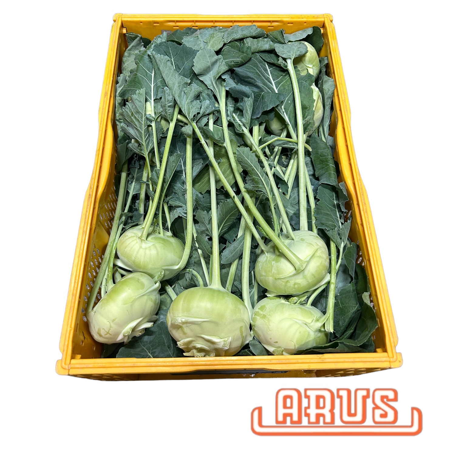 Kohlrabi 20er - dtsch. -