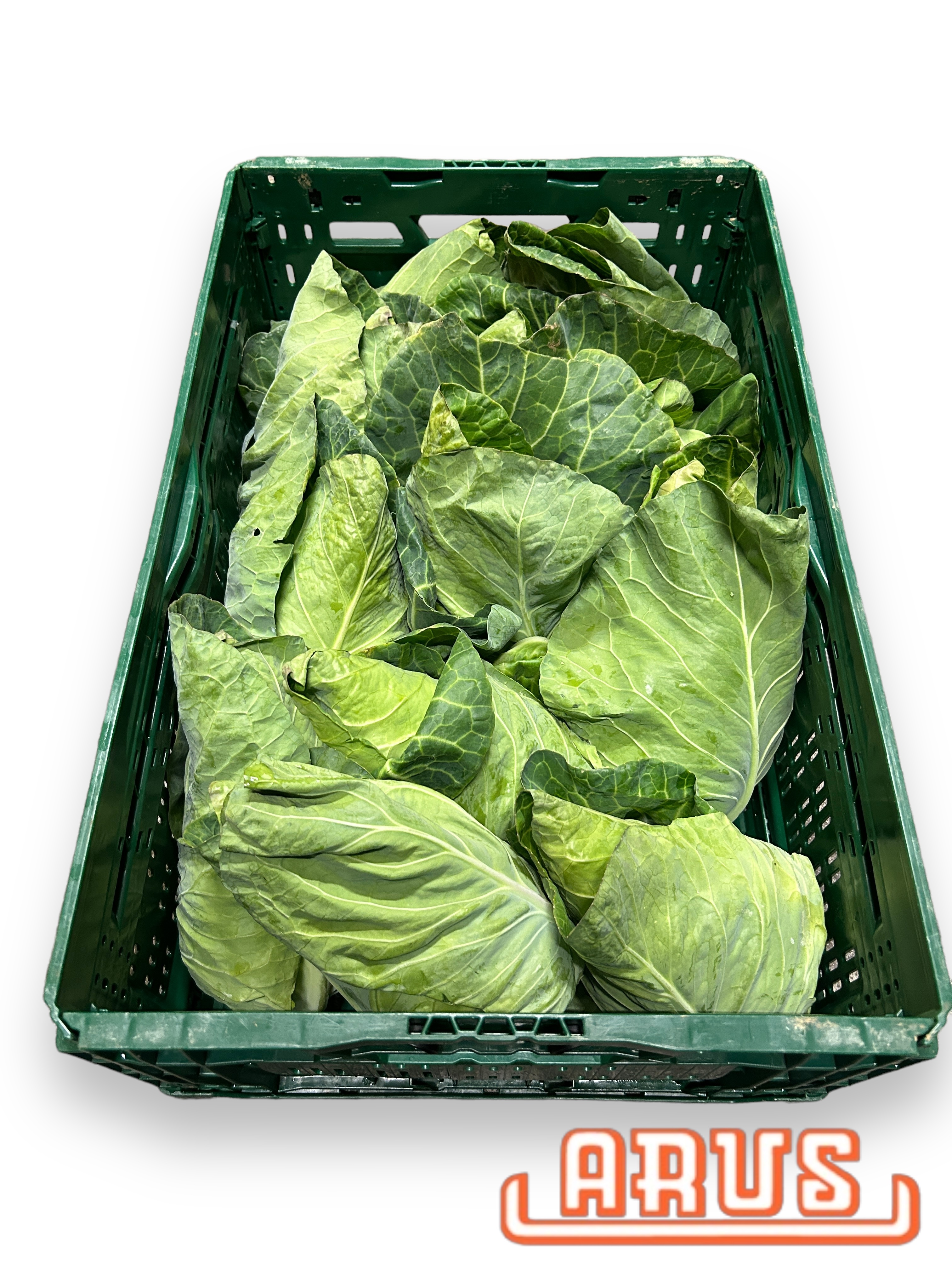 Spitzkohl 10kg - dtsch. -
