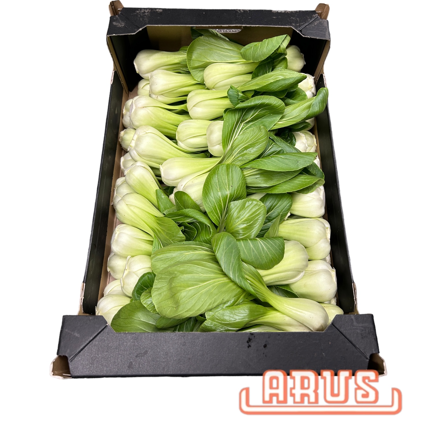 Pak-Choi 8kg