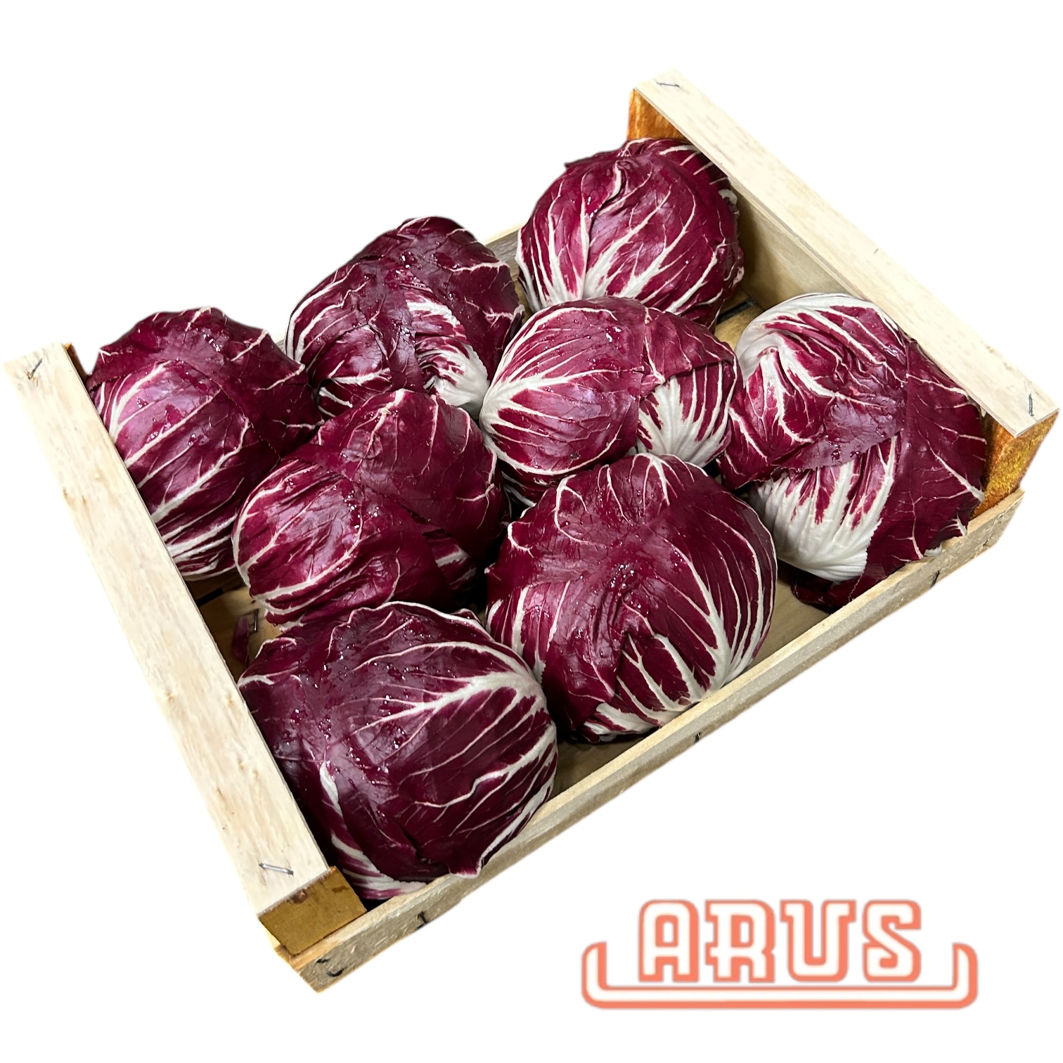 Radiccio 3kg