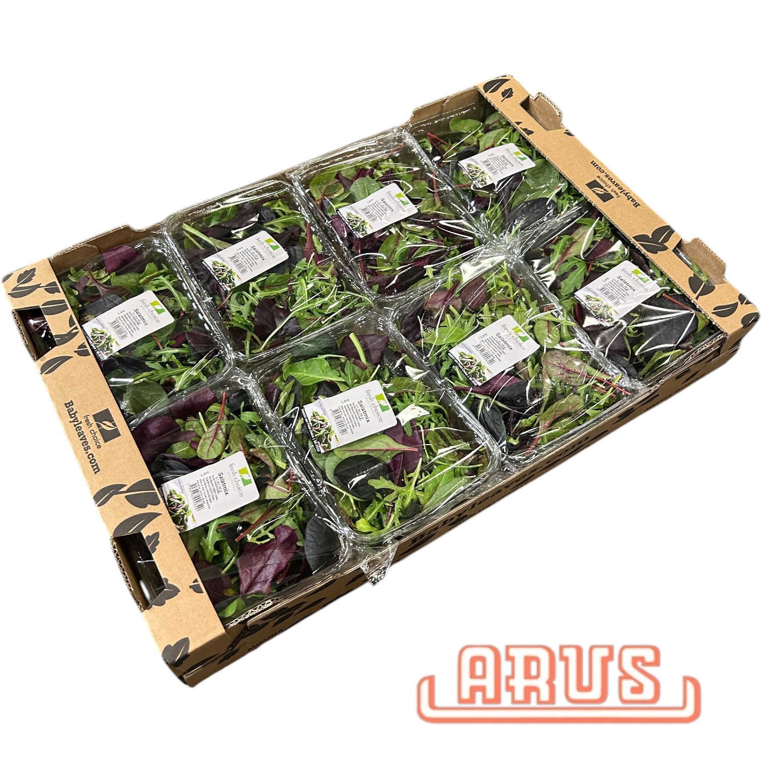 Mix Salat "Pflücksalat" 8 x 100g - Schale -