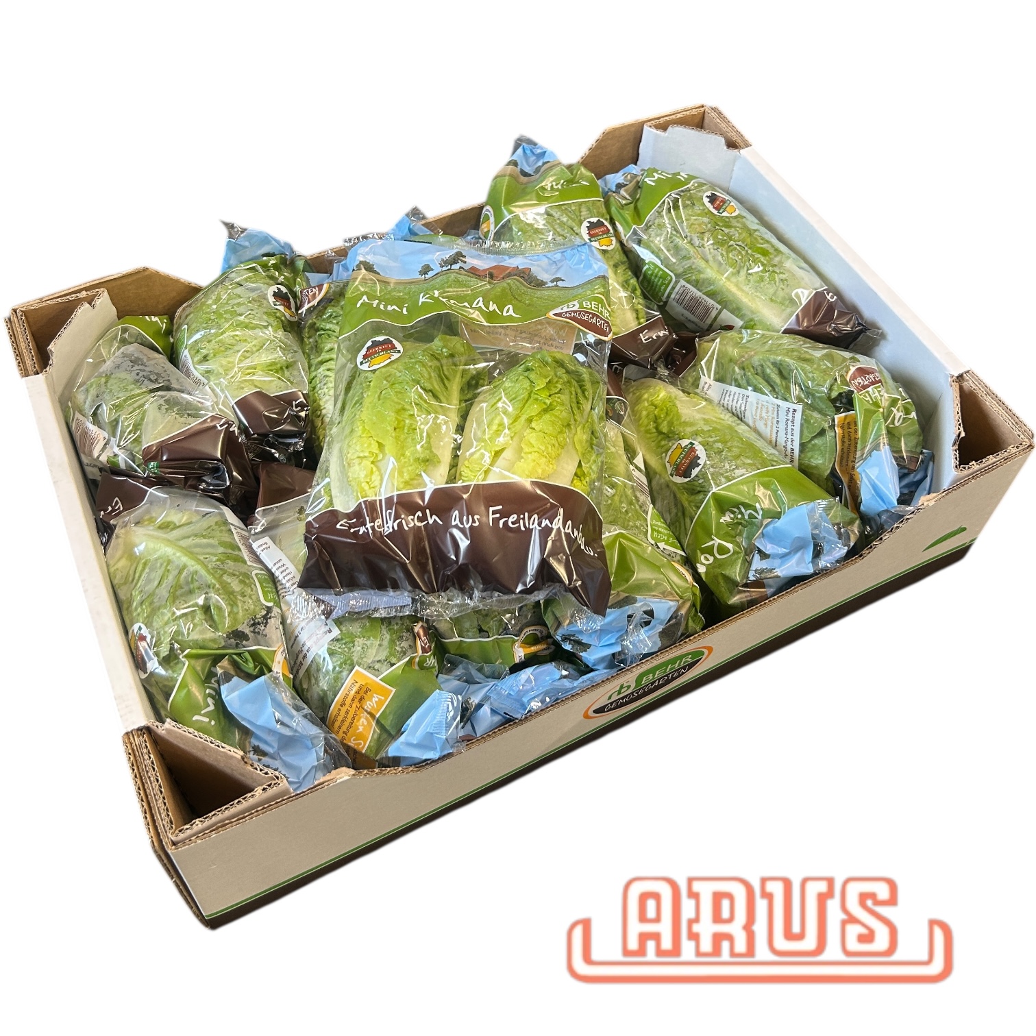 Salatherzen "Mini Romanasalat" 12x2 Stück -dtsch.-
