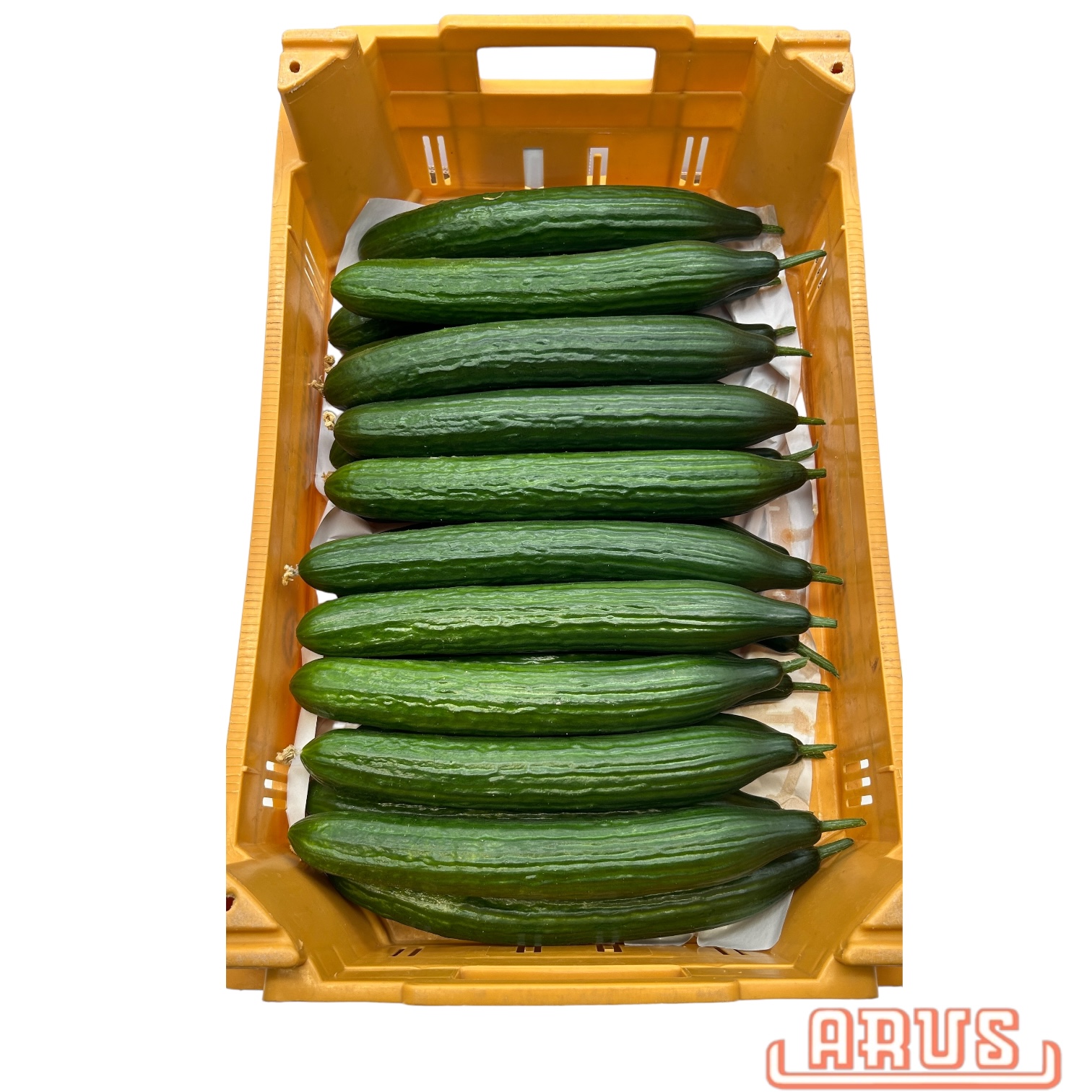 Gurken "aus der Region" 20er - EZG -