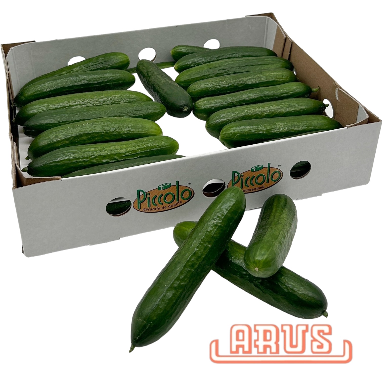 Gurken Mini "Piccolo" 32er - Karton/niederl. -