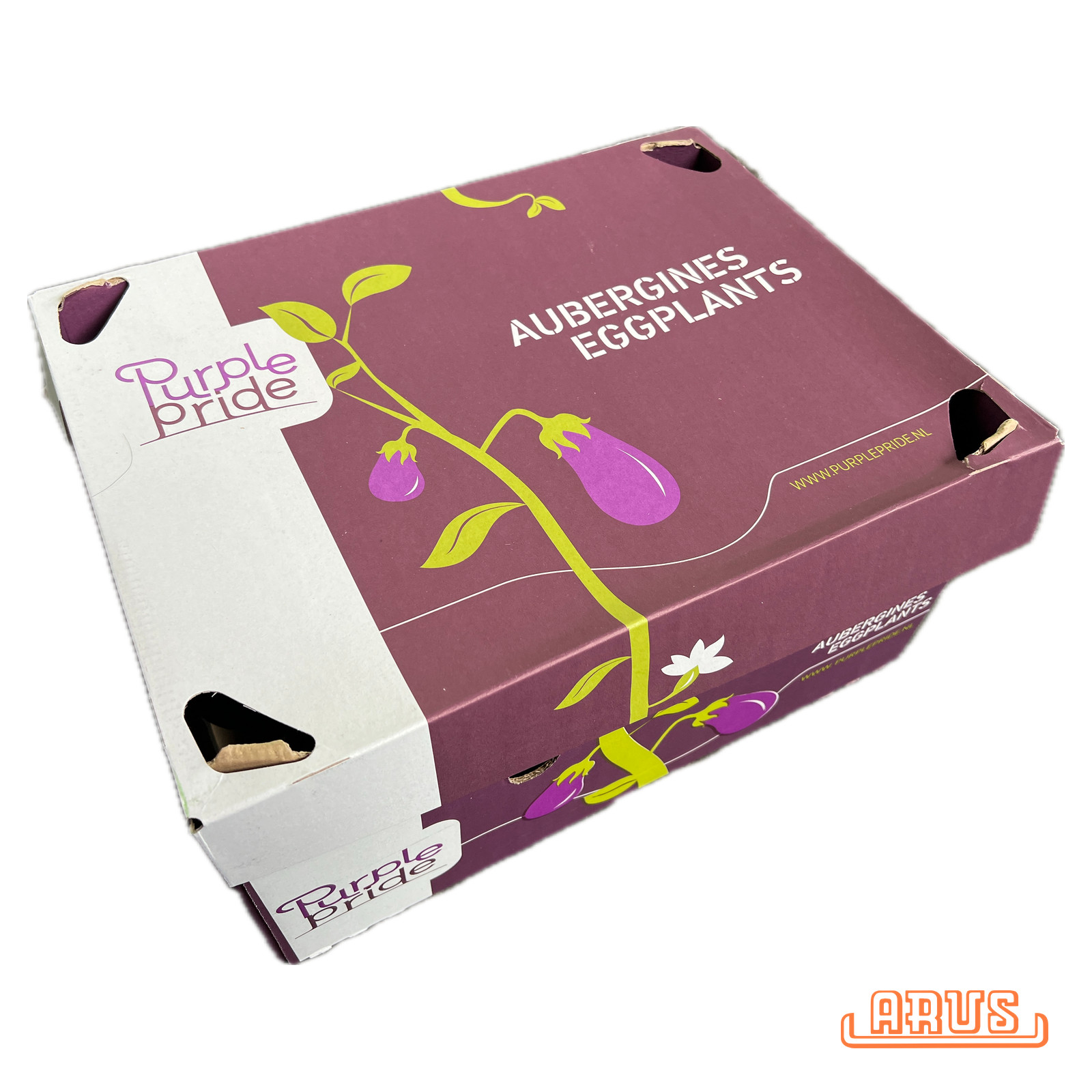 Auberginen 16 Stück 5kg - niederl. -