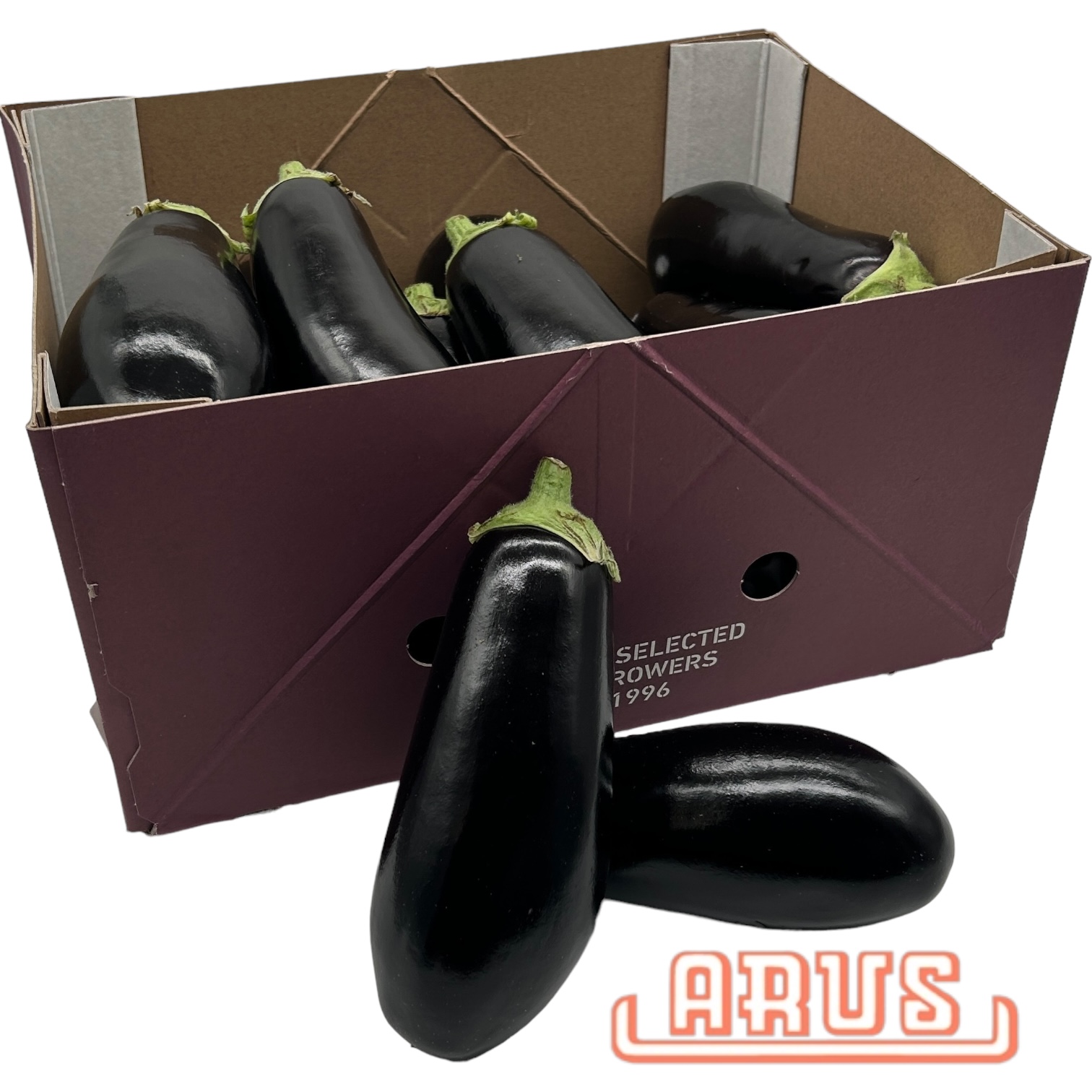 Auberginen 16 Stück 5kg - niederl. -