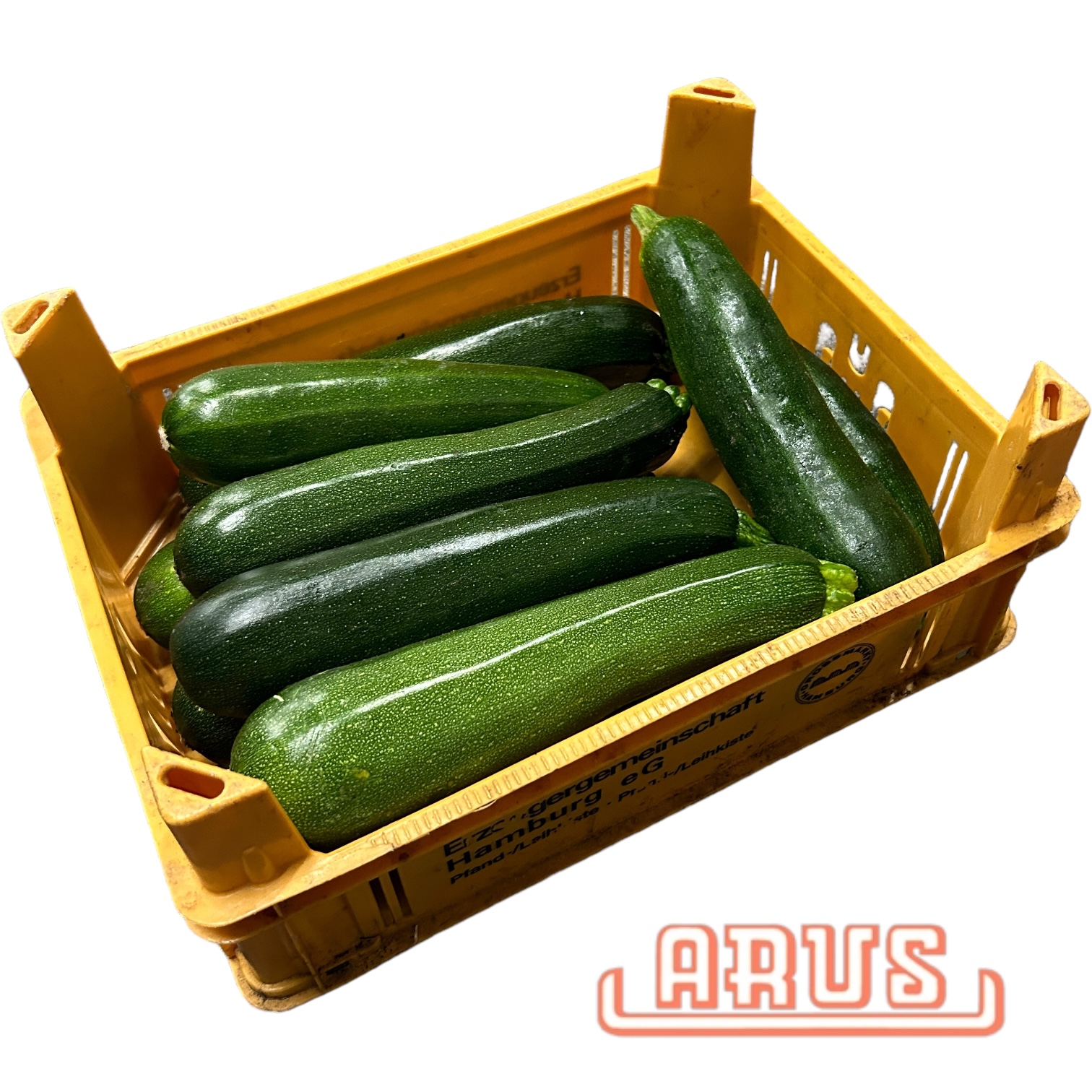 Zucchini 5kg - dtsch. -