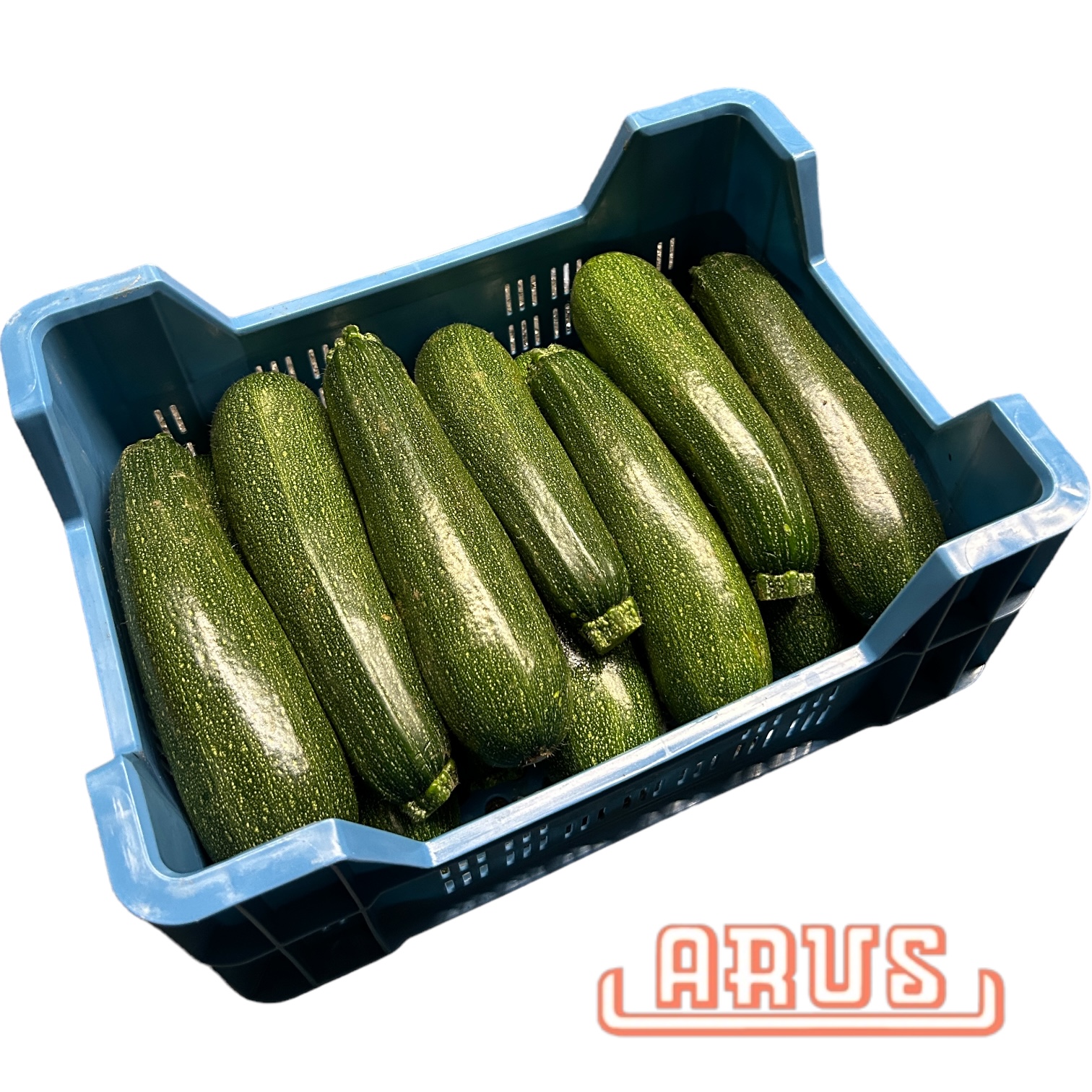 Zucchini 5kg - belg. -