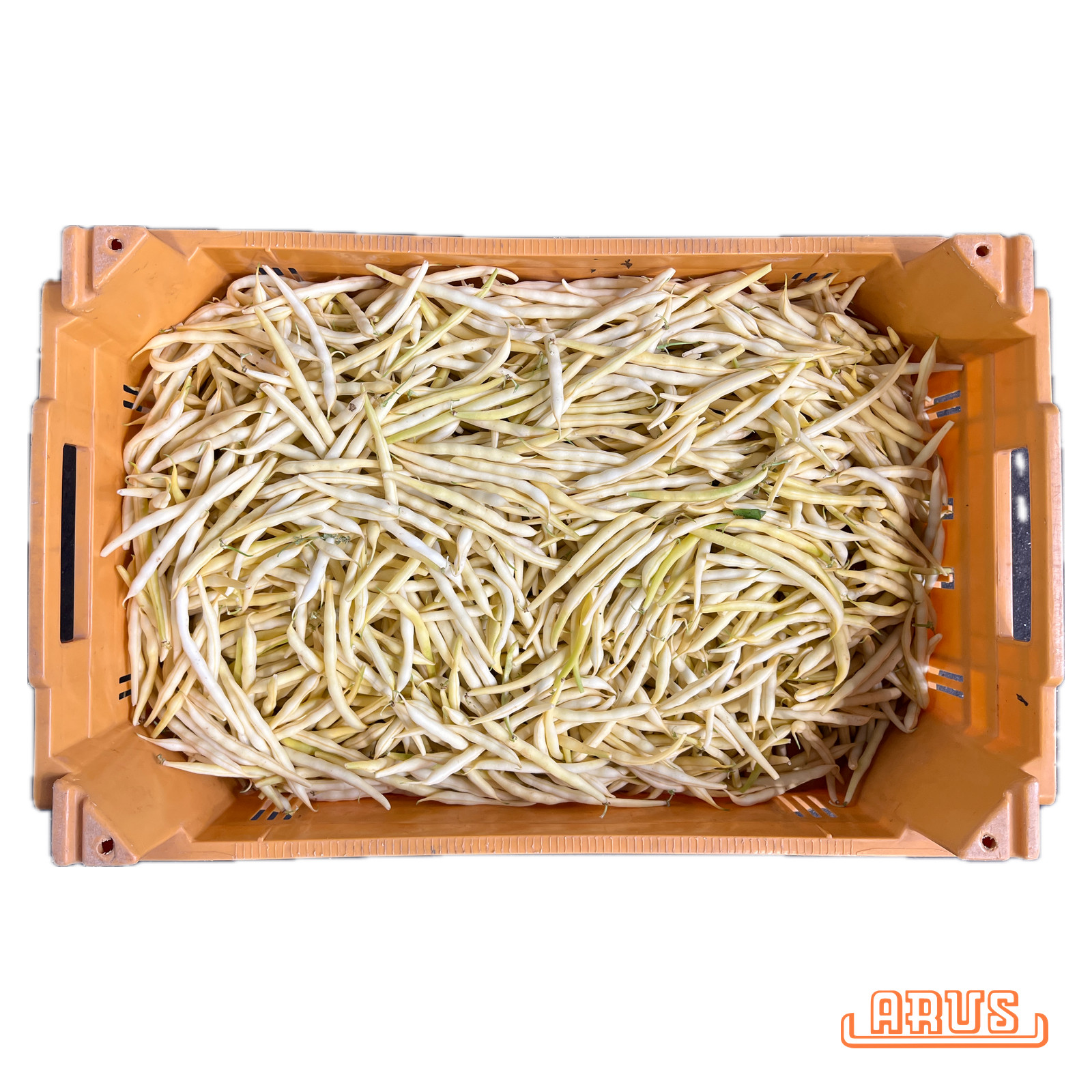 Wachsbohnen "gelb" 5kg - dtsch. -