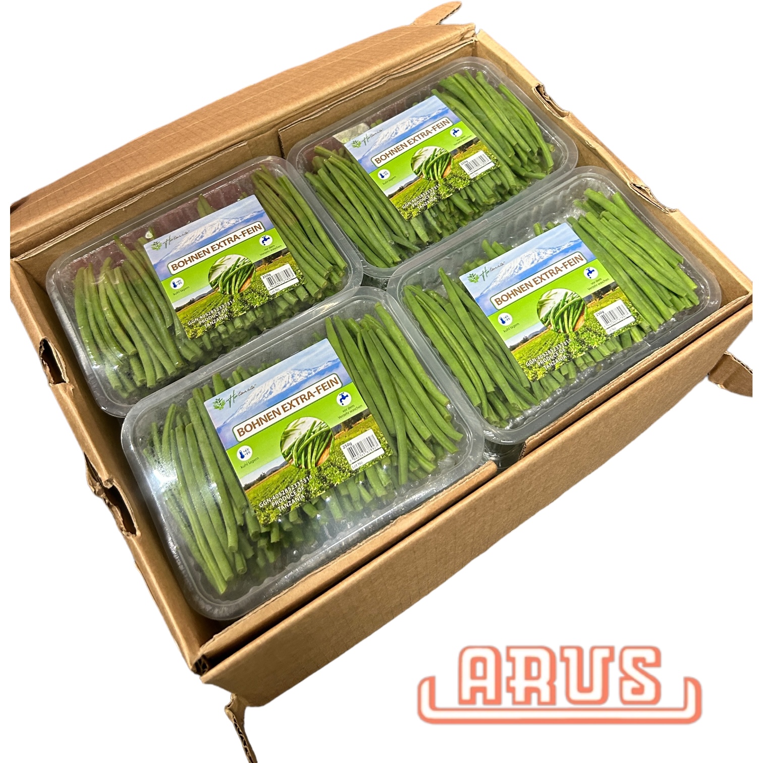 Bohnen extra fein "Prinzess, gepackt" 12x250g