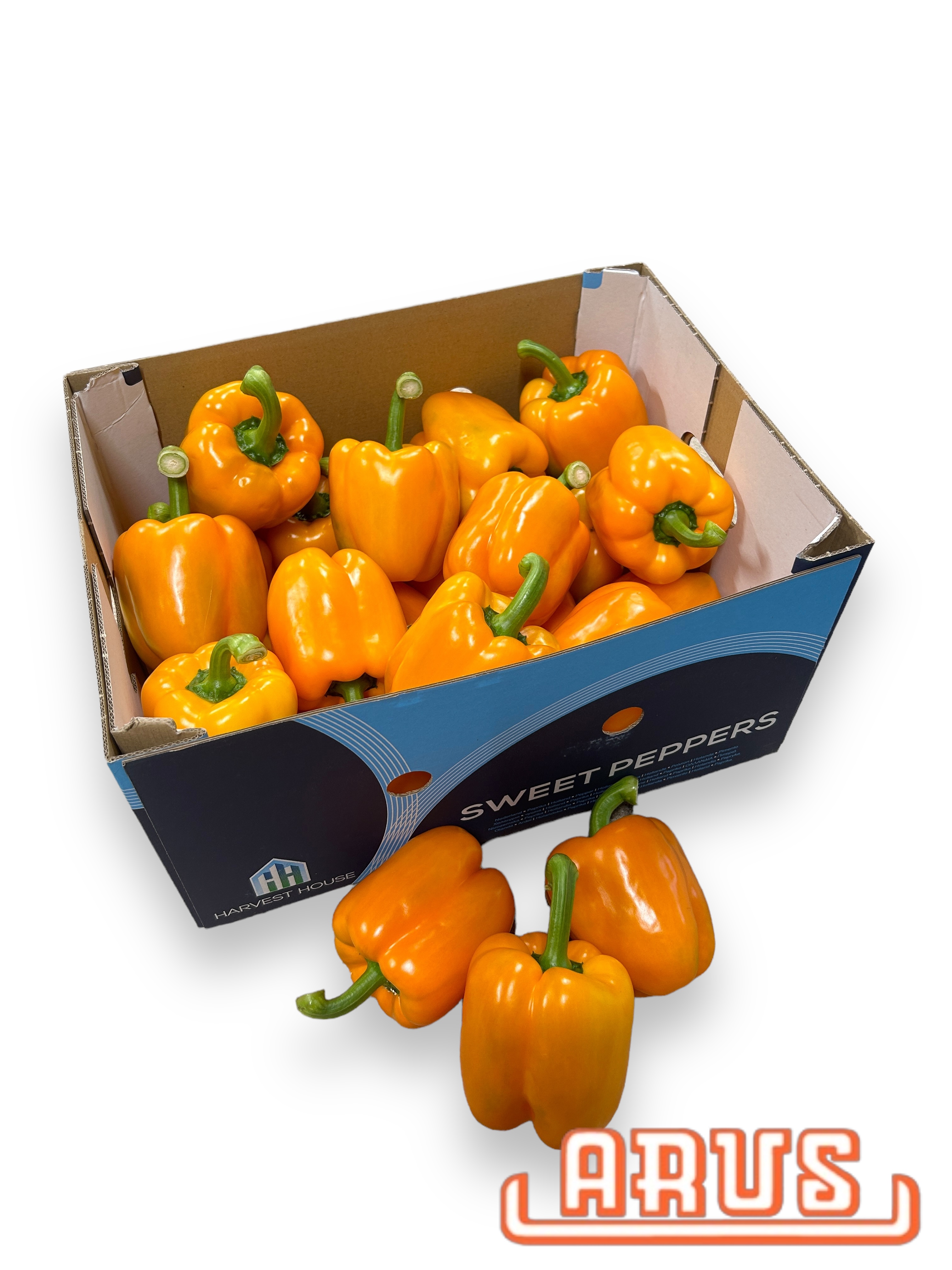 Paprika "orange" 20 Stück/5kg - niederl. -
