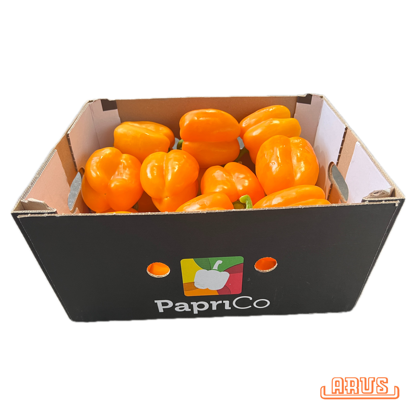 Paprika "orange" 20 Stück/5kg - niederl. -