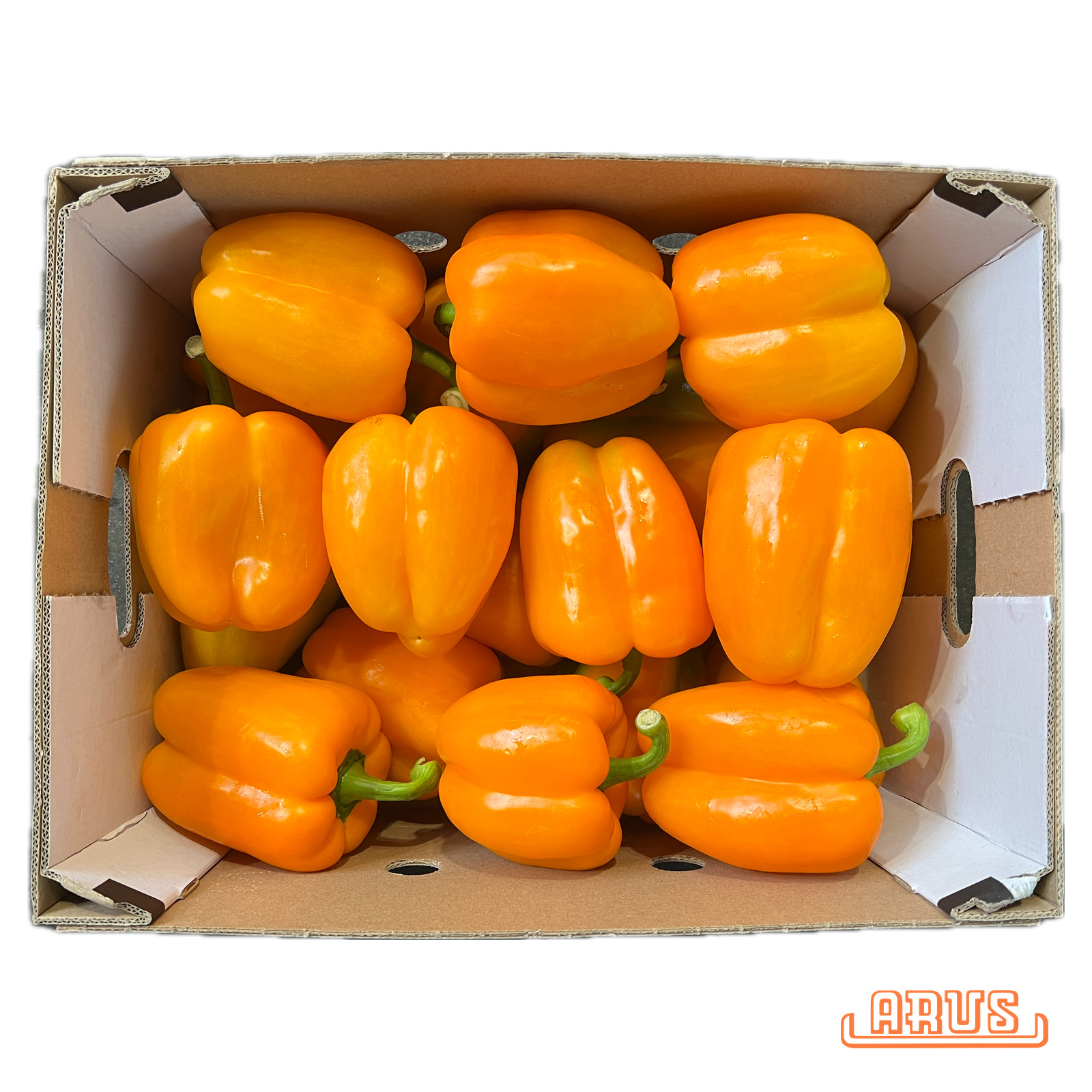 Paprika "orange" 20 Stück/5kg - niederl. -