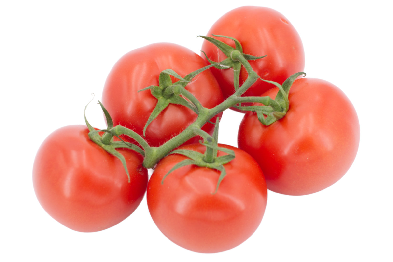 Strauchtomaten 5kg - dtsch. -