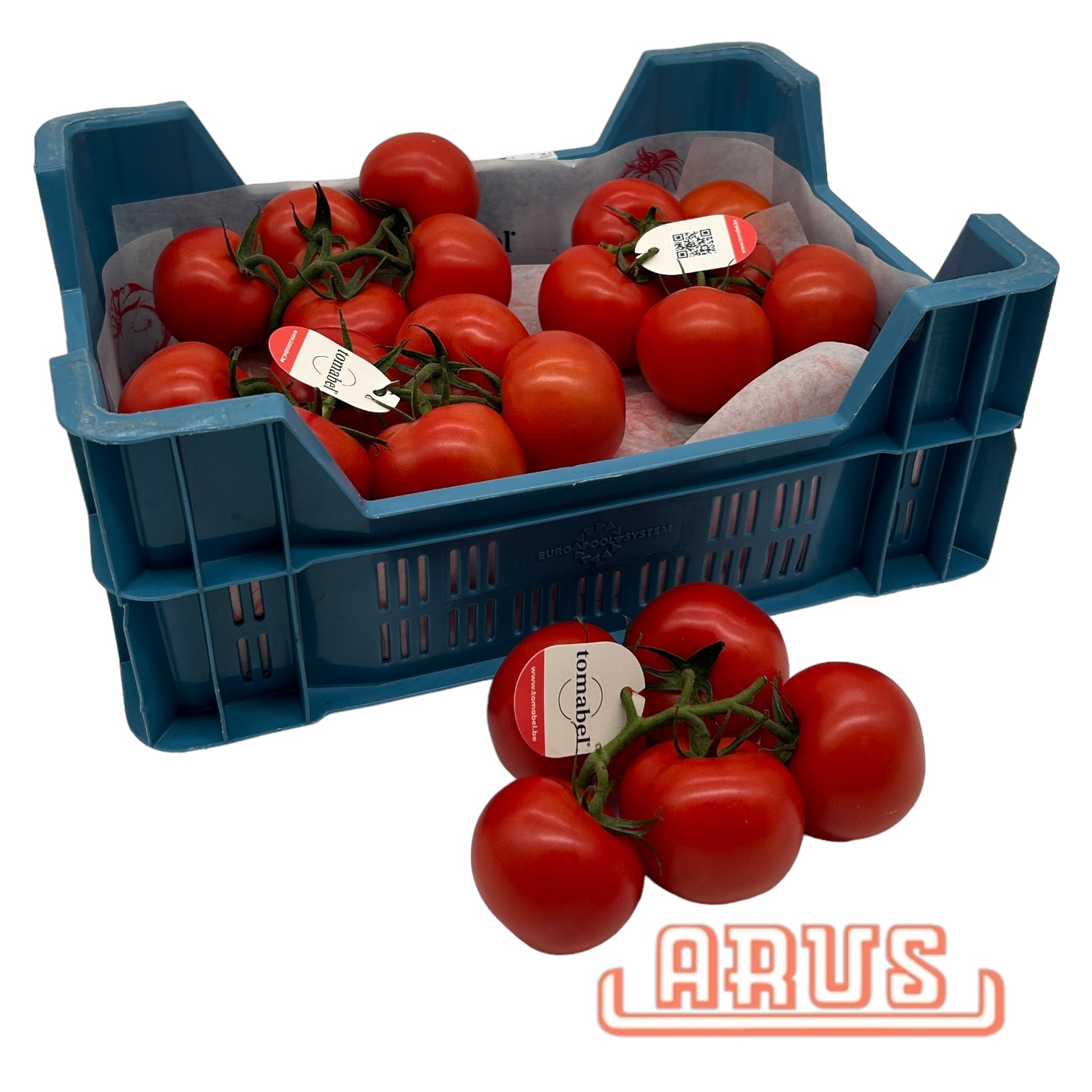 Strauchtomaten 5kg - belg. -