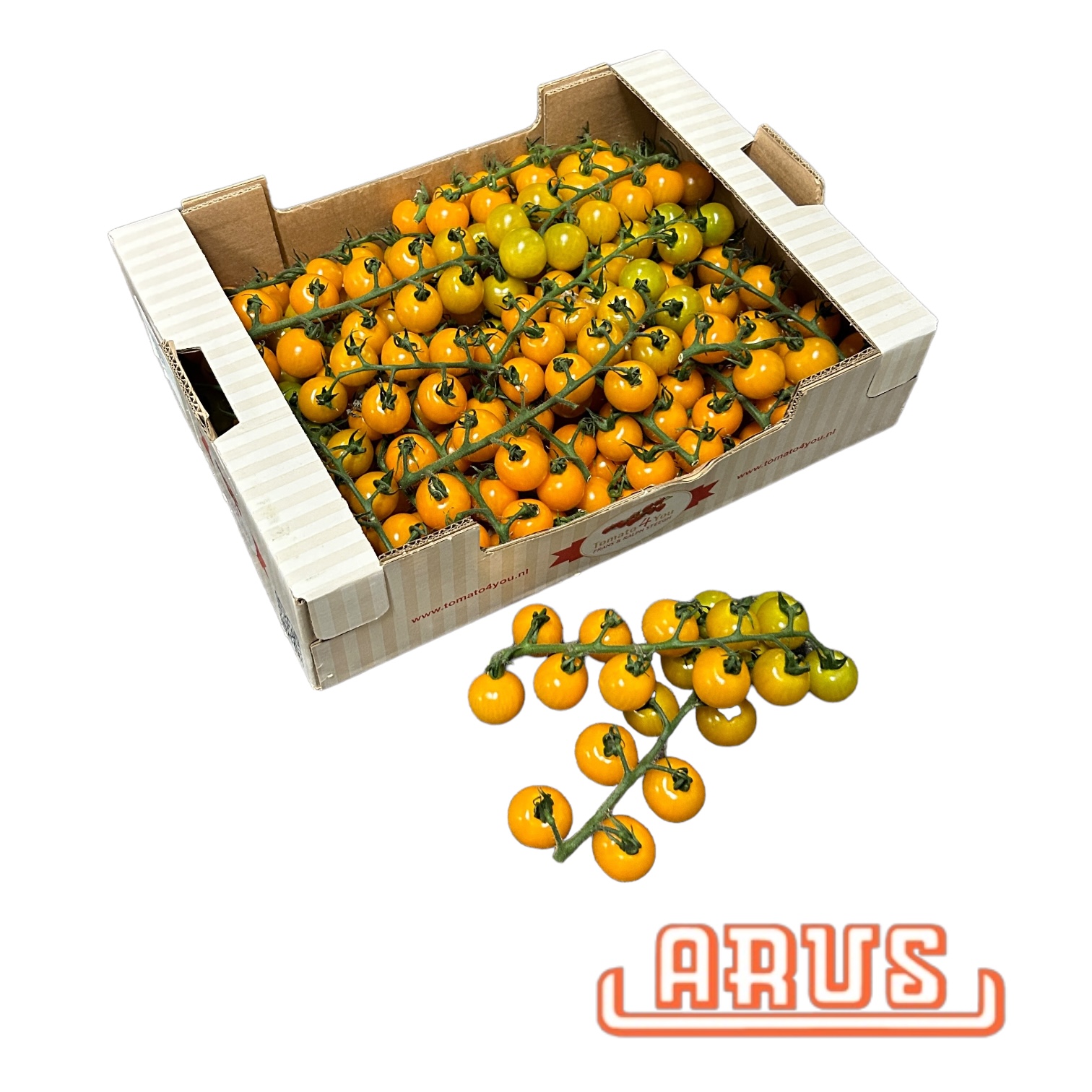 Cherrystraucht.  "gelb, Tomato4you" 3kg