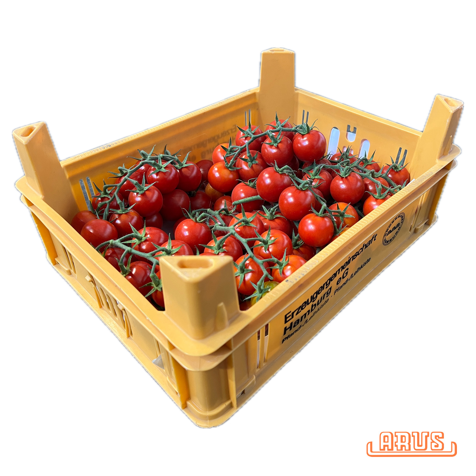 Cherrystraucht. "Rote Perle" 3kg - dtsch. -