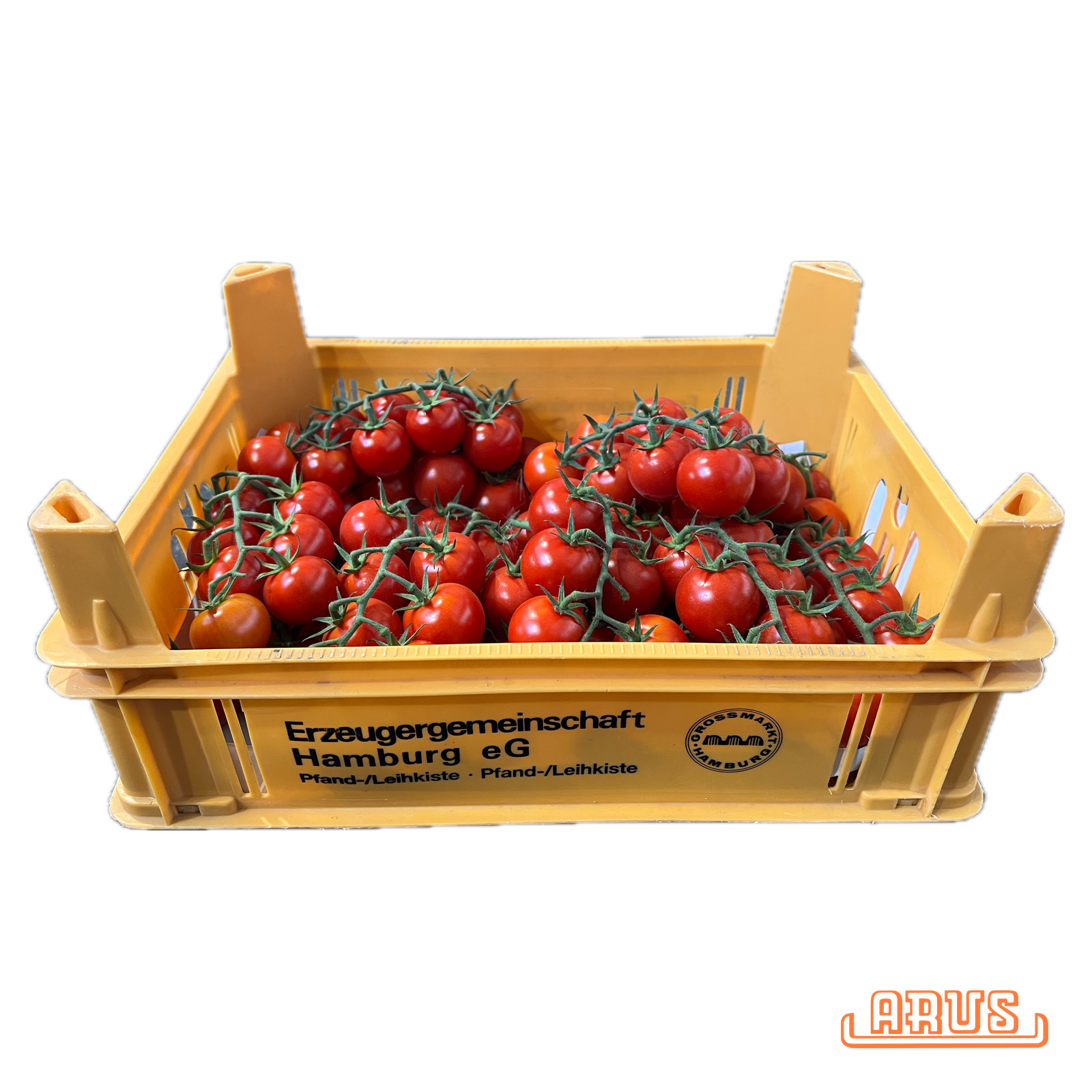 Cherrystraucht. "Rote Perle" 3kg - dtsch. -