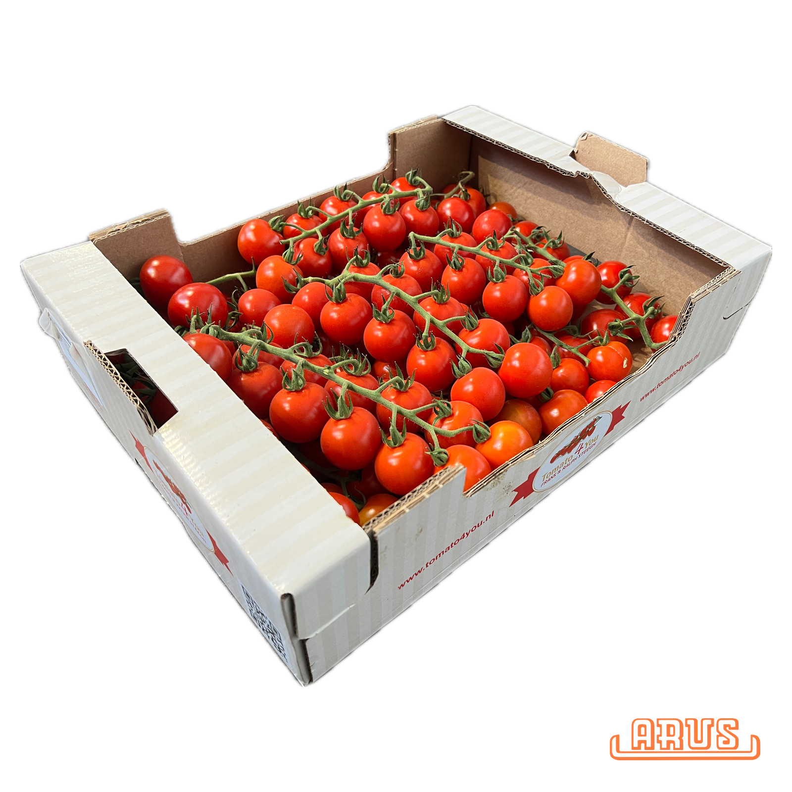 Cherrystraucht. "Tomato4you" 3kg - niederl. -