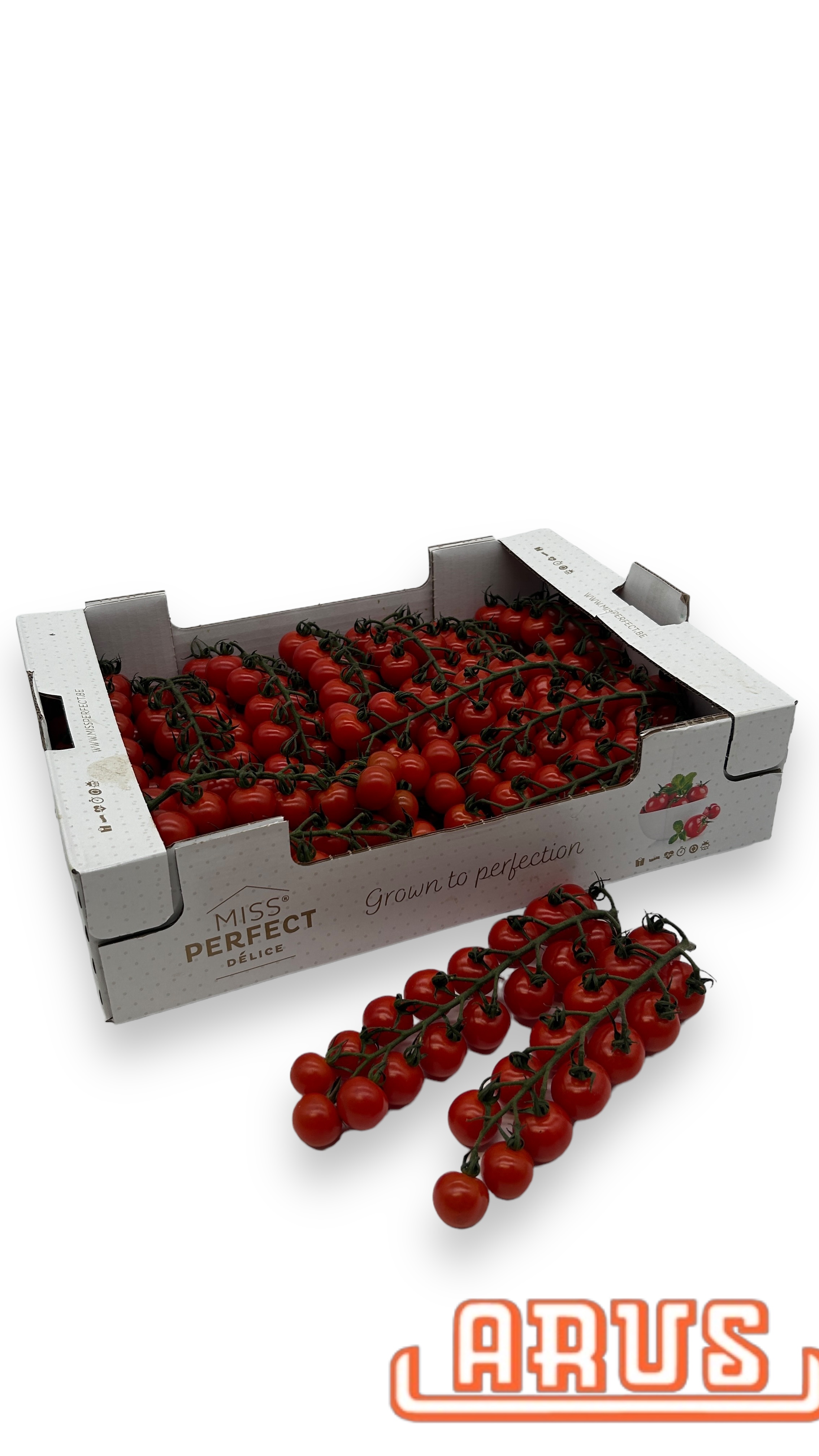 Cherrystraucht. Cherita "Miss Perfect" 3kg - PREMIUM -