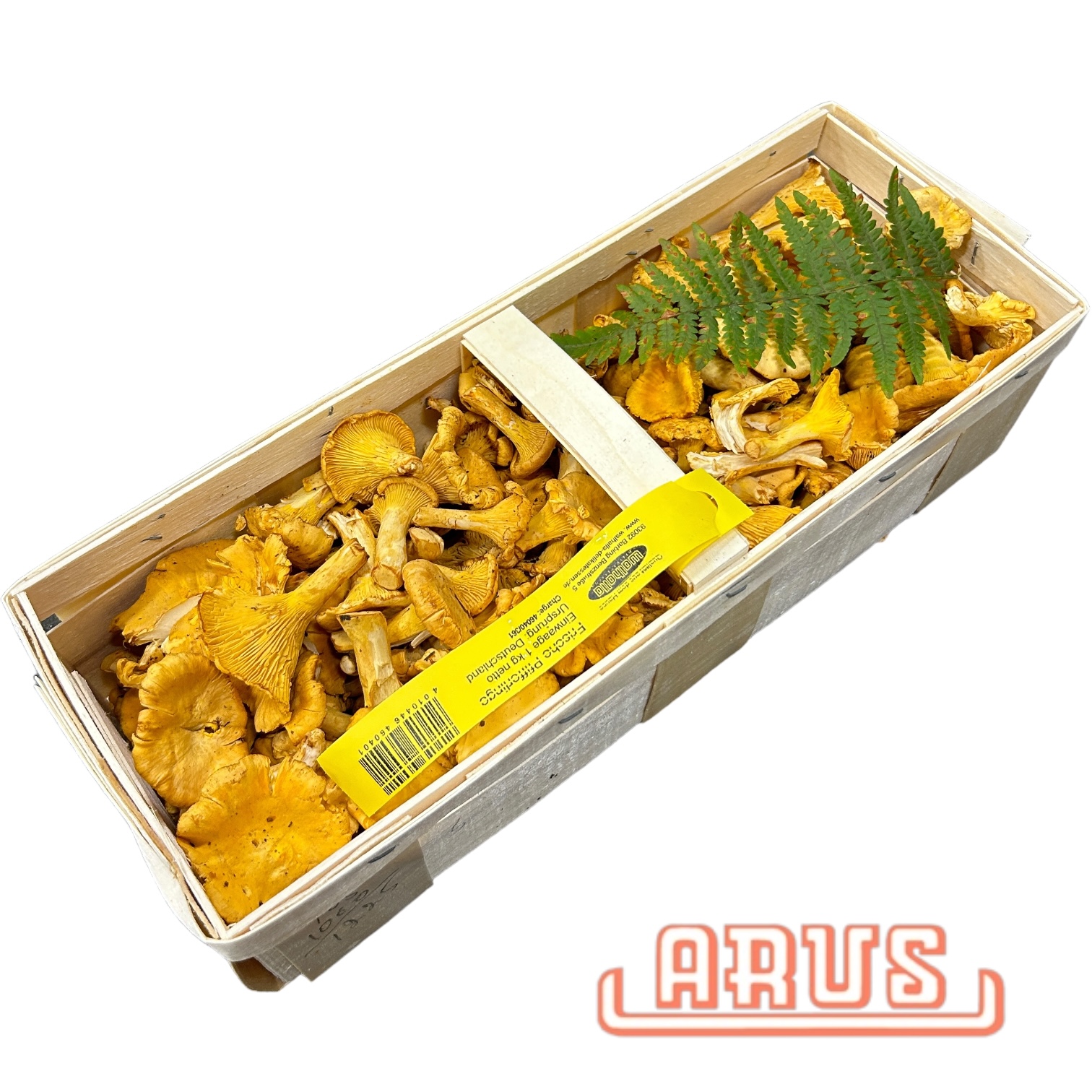 Pfifferlinge 1kg -poln.-