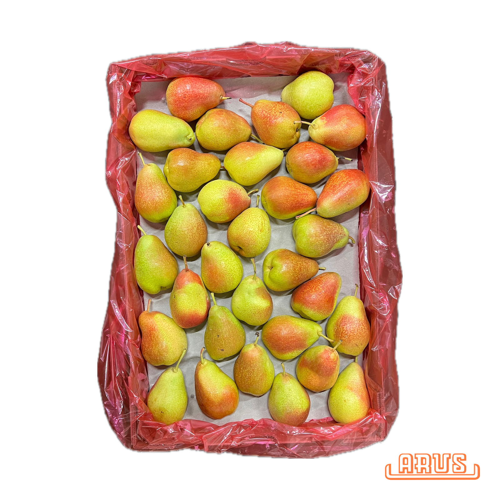Birnen Forelle 7kg