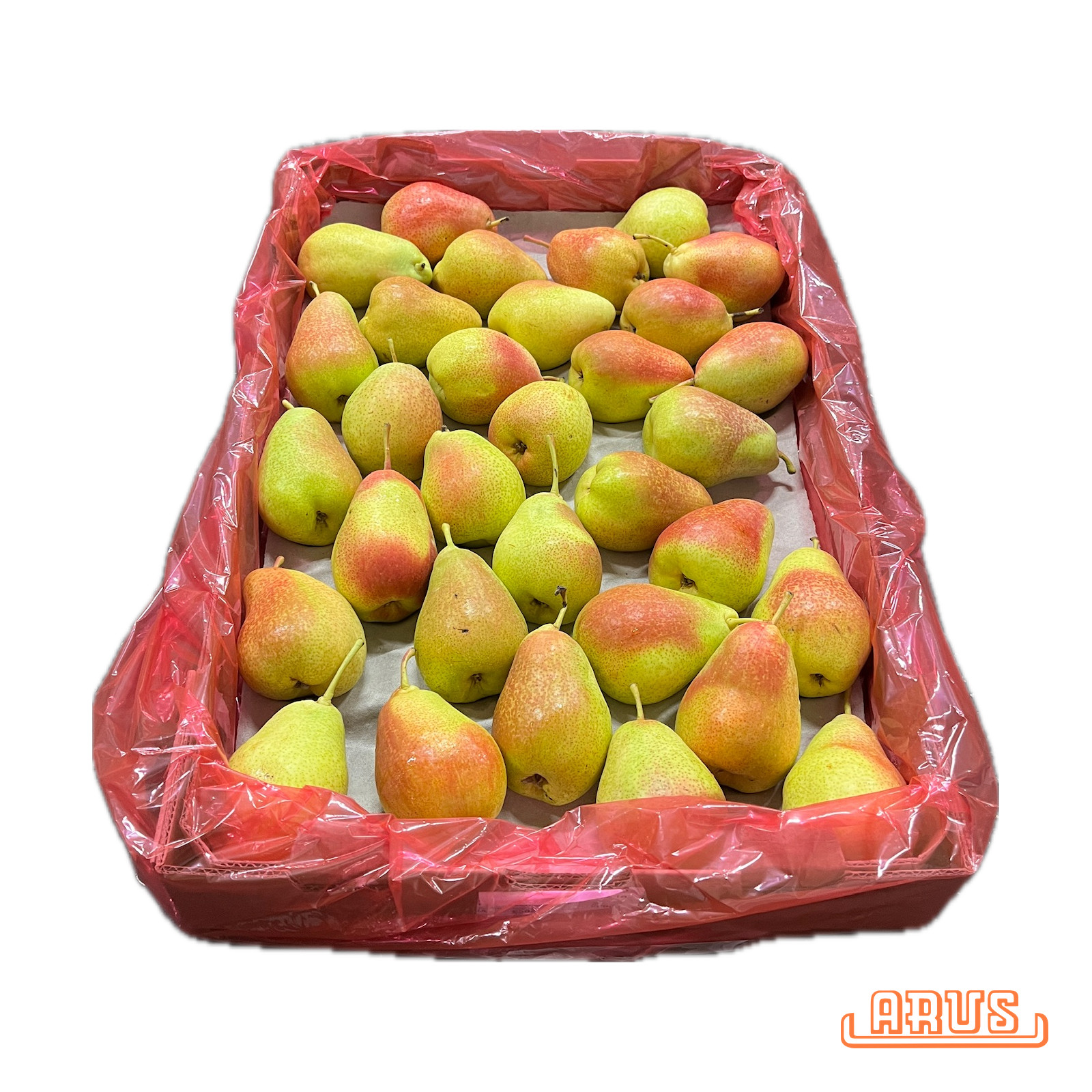 Birnen Forelle 7kg