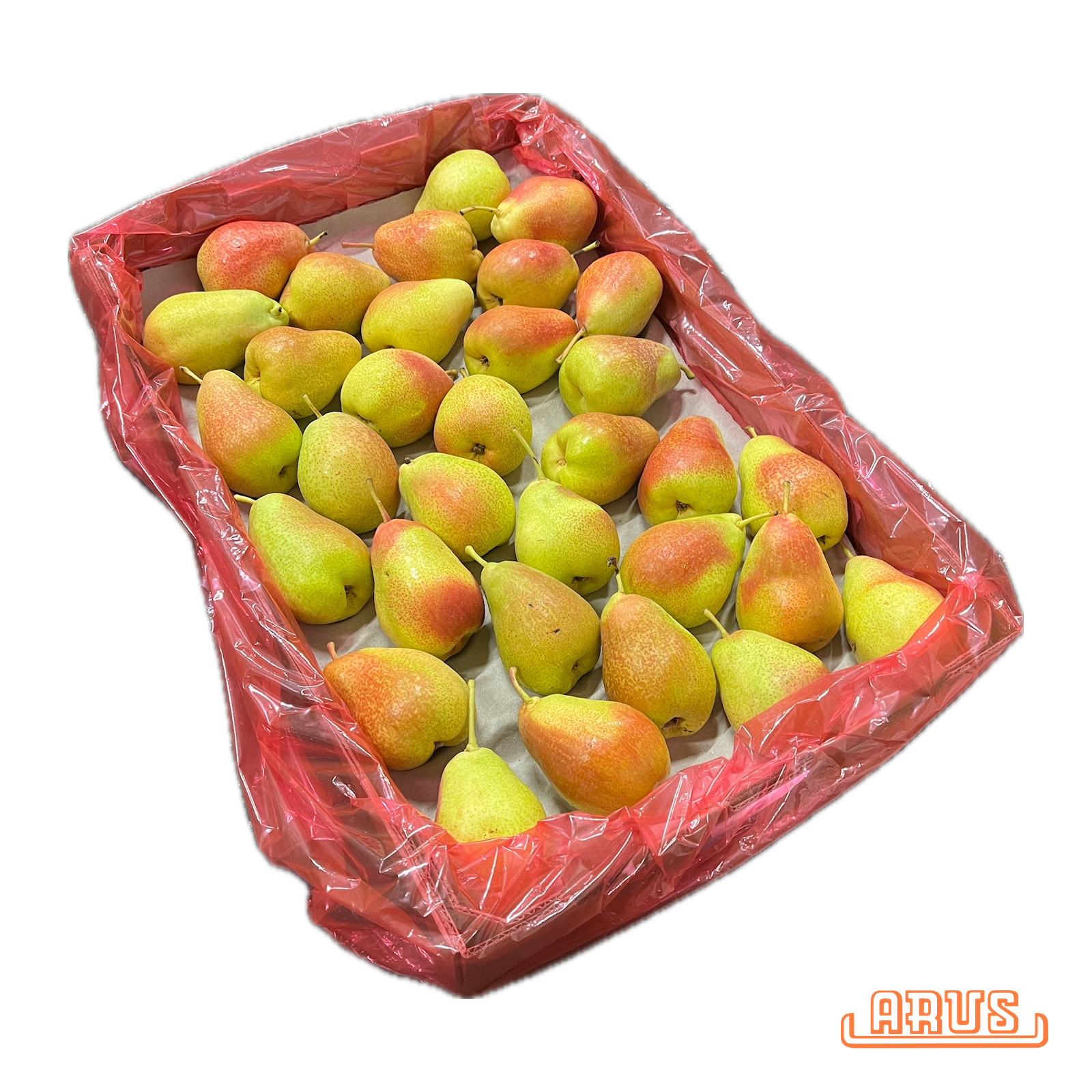 Birnen Forelle 7kg