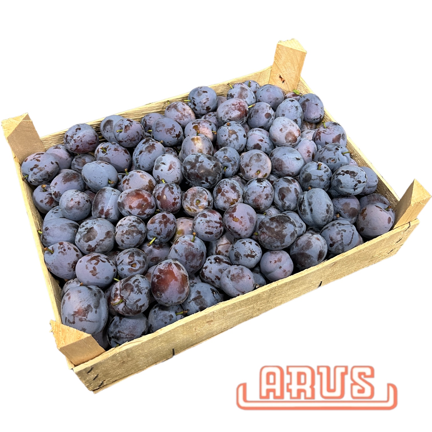Zwetschen 10kg -moldv.-