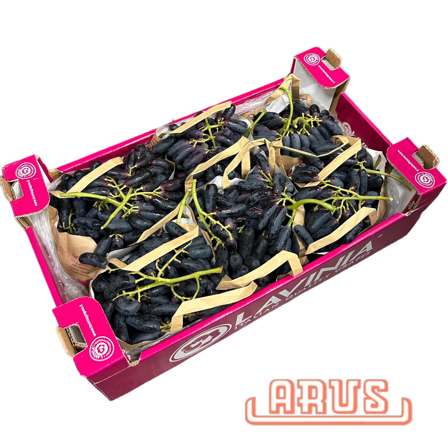 Trauben Sweet Saphire 6kg "Lavinia, Finger-Trauben" - dunkel kernl. -