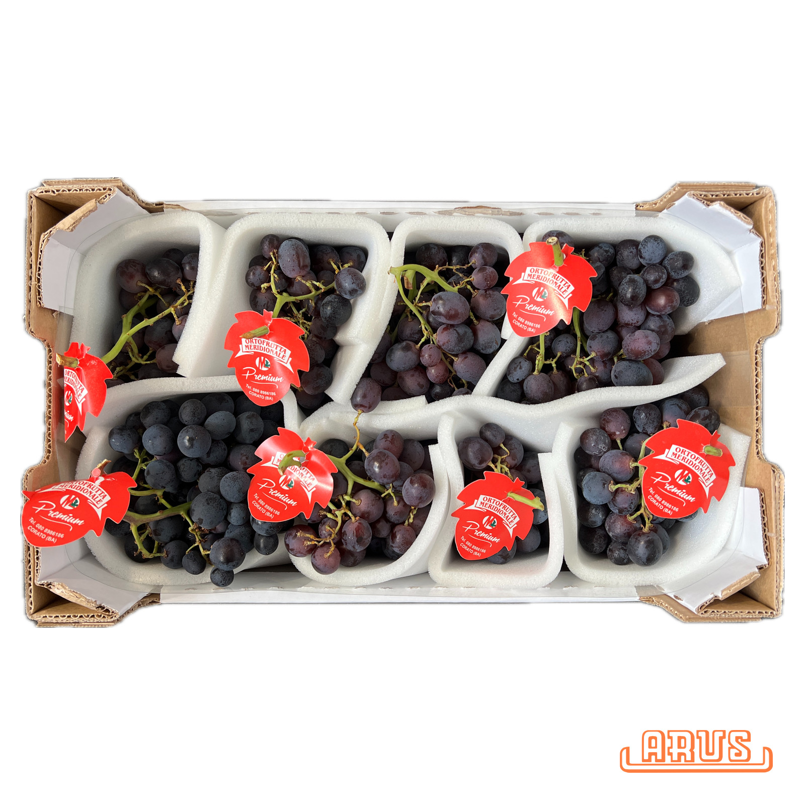 Trauben Palieri 5kg - dunkel mit Kern -