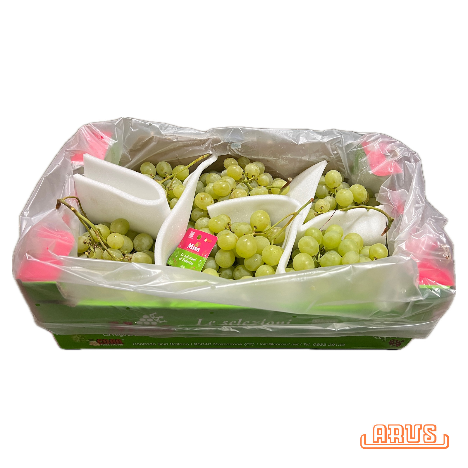 Trauben Italia 7kg - hell mit Kern -