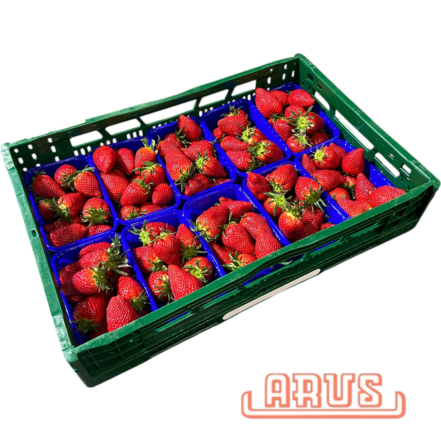 Erdbeeren 10x500g POOL - niederl. -