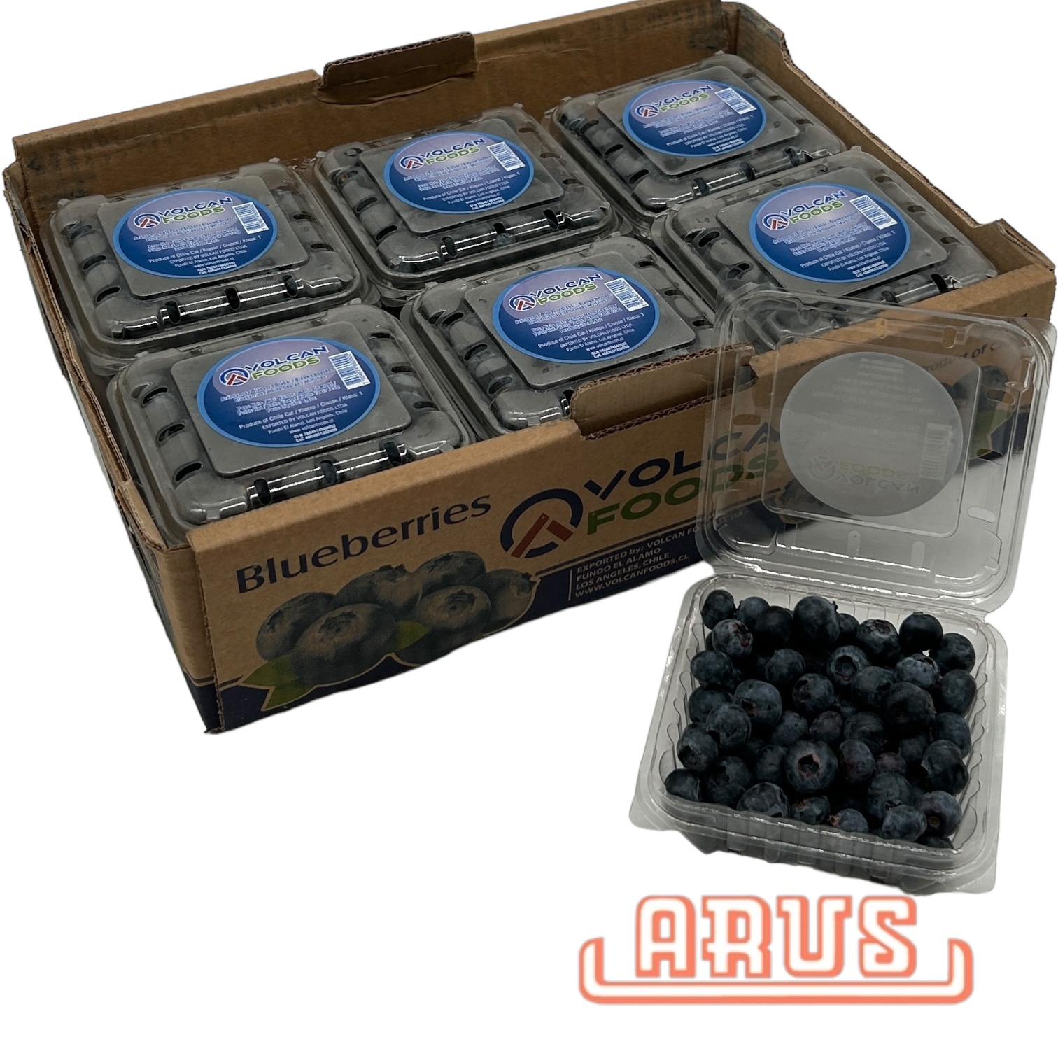 Gartenblaubeeren 12 x 250g -chile-