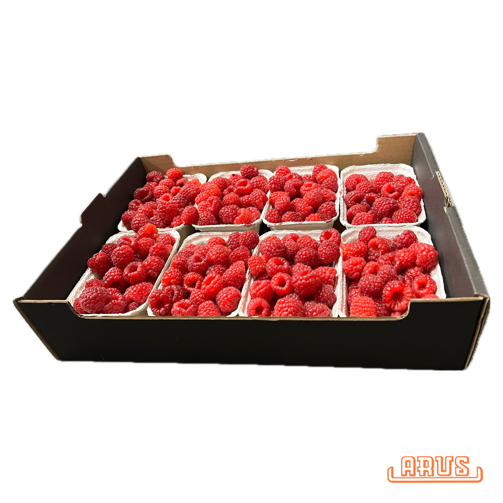 Himbeeren 8 x 250g -poln.-