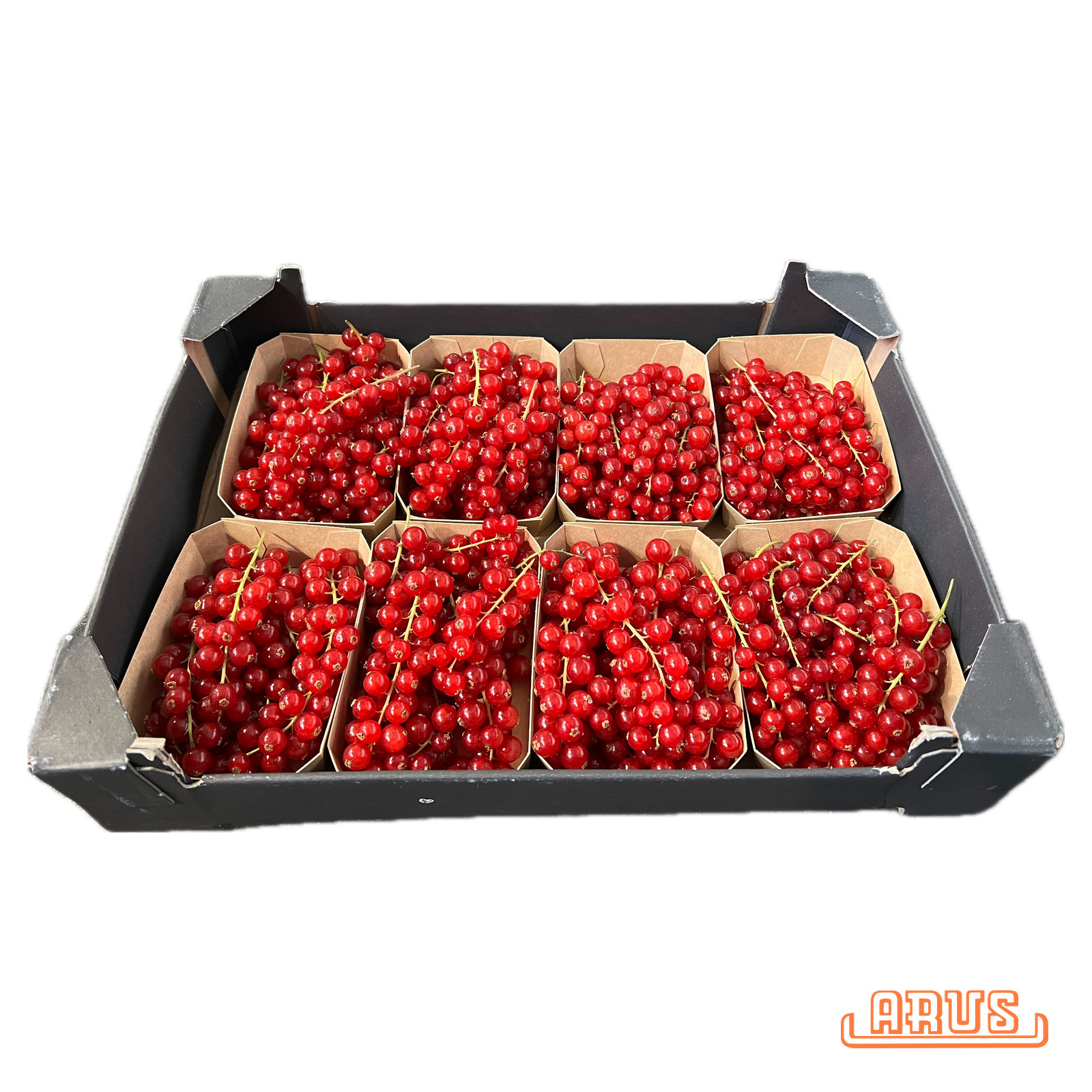 Johannisbeeren rot 8x200g -niederl.-