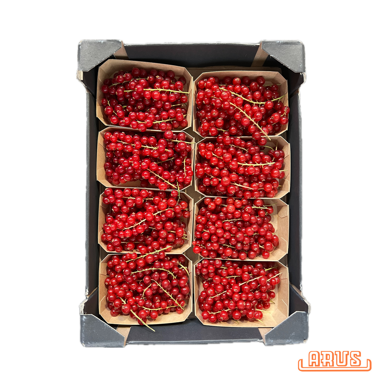 Johannisbeeren rot 8x200g -niederl.-