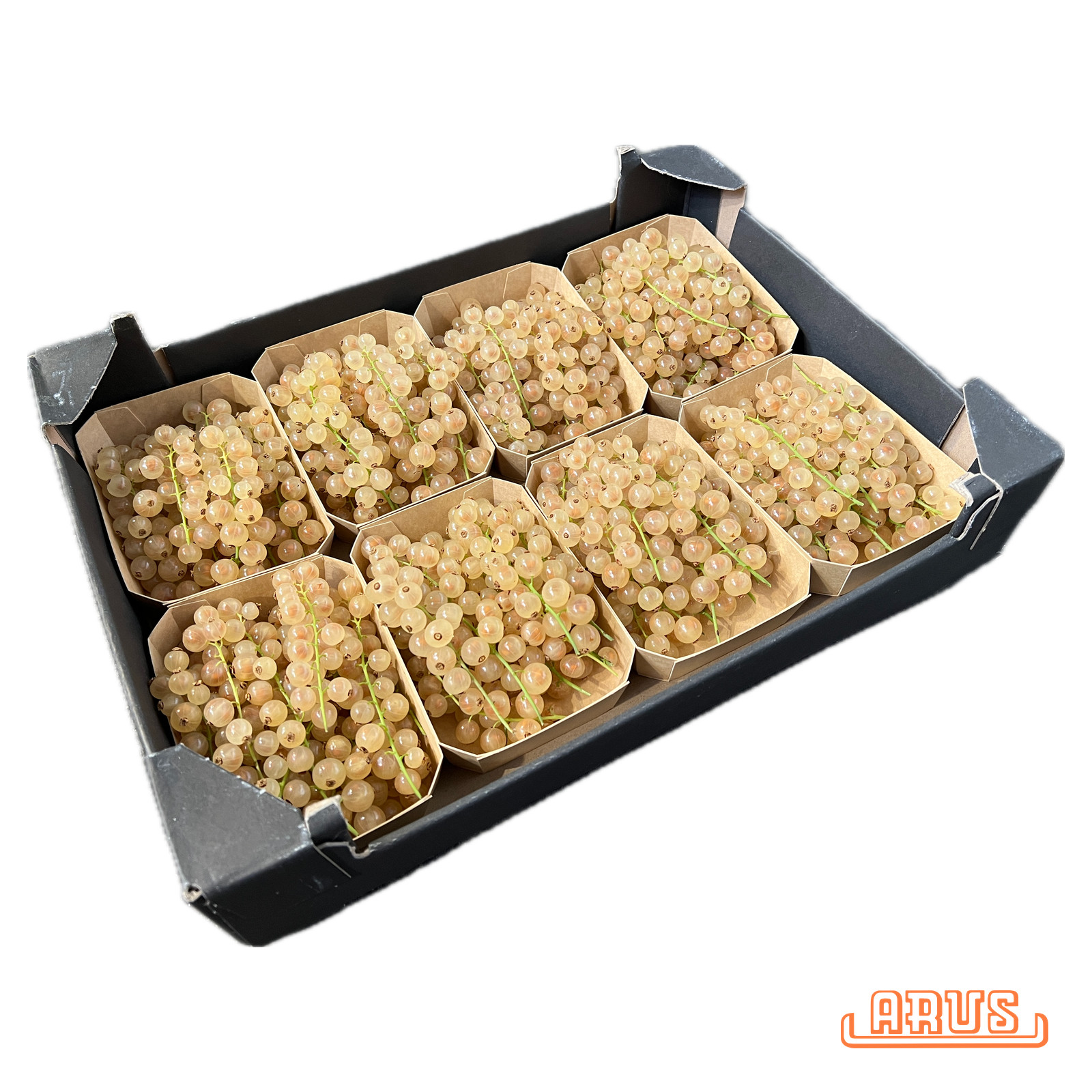 Johannisbeeren "weiss" 8 x 200g