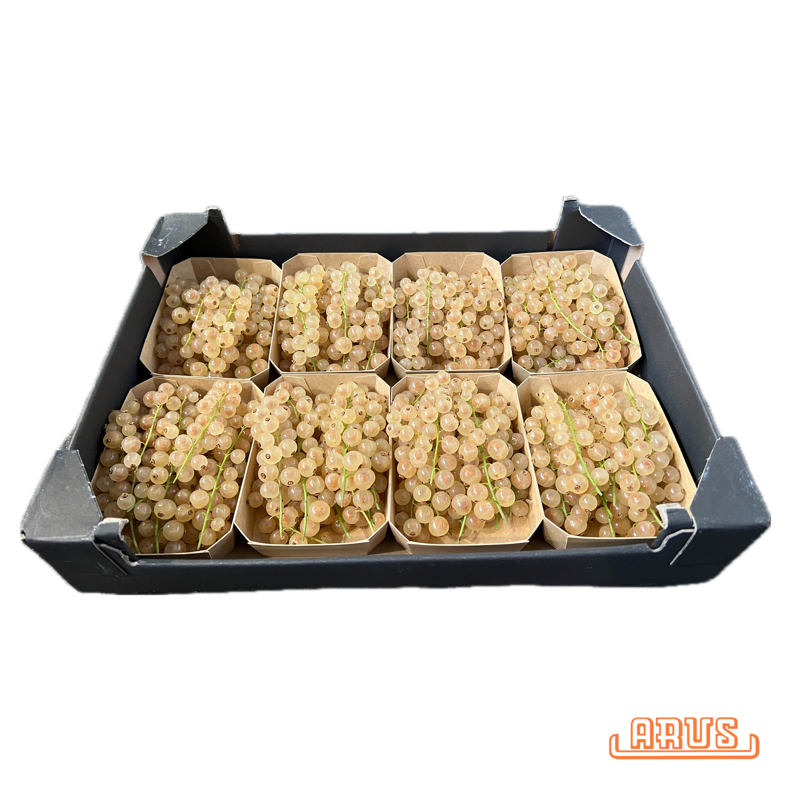 Johannisbeeren "weiss" 8 x 200g