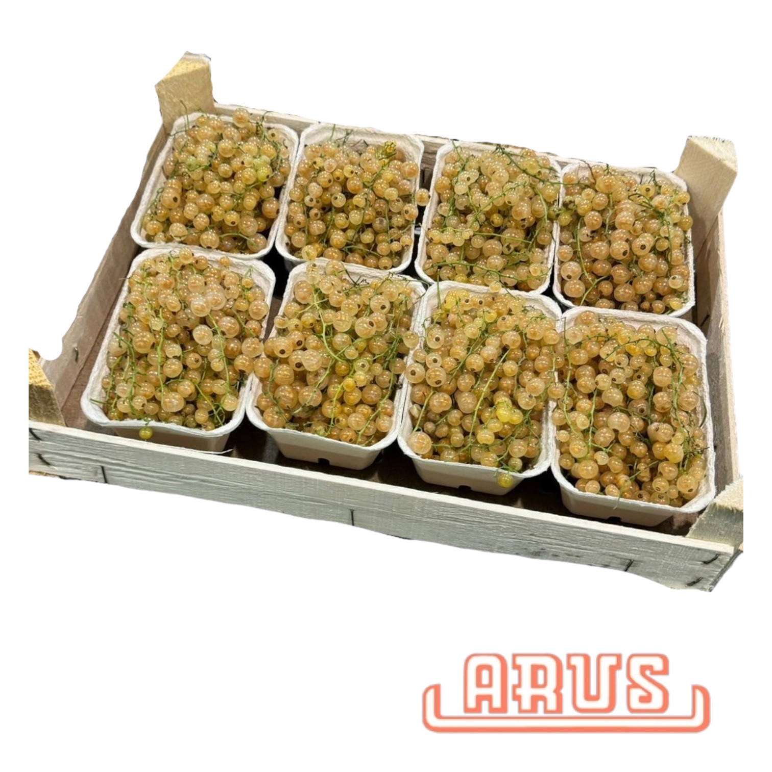 Johannisbeeren "weiss" 8 x 200g